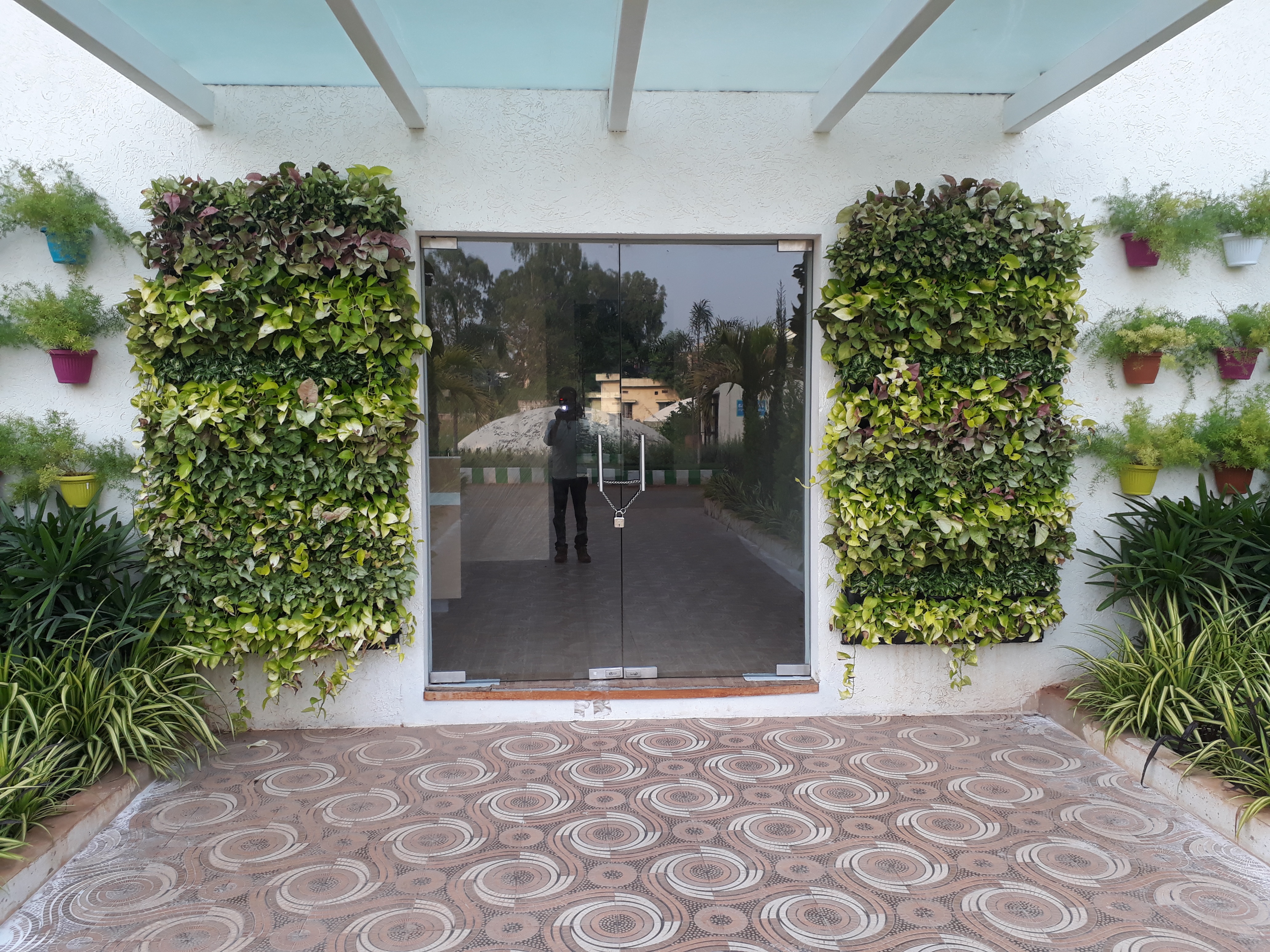 Footer Plants Background