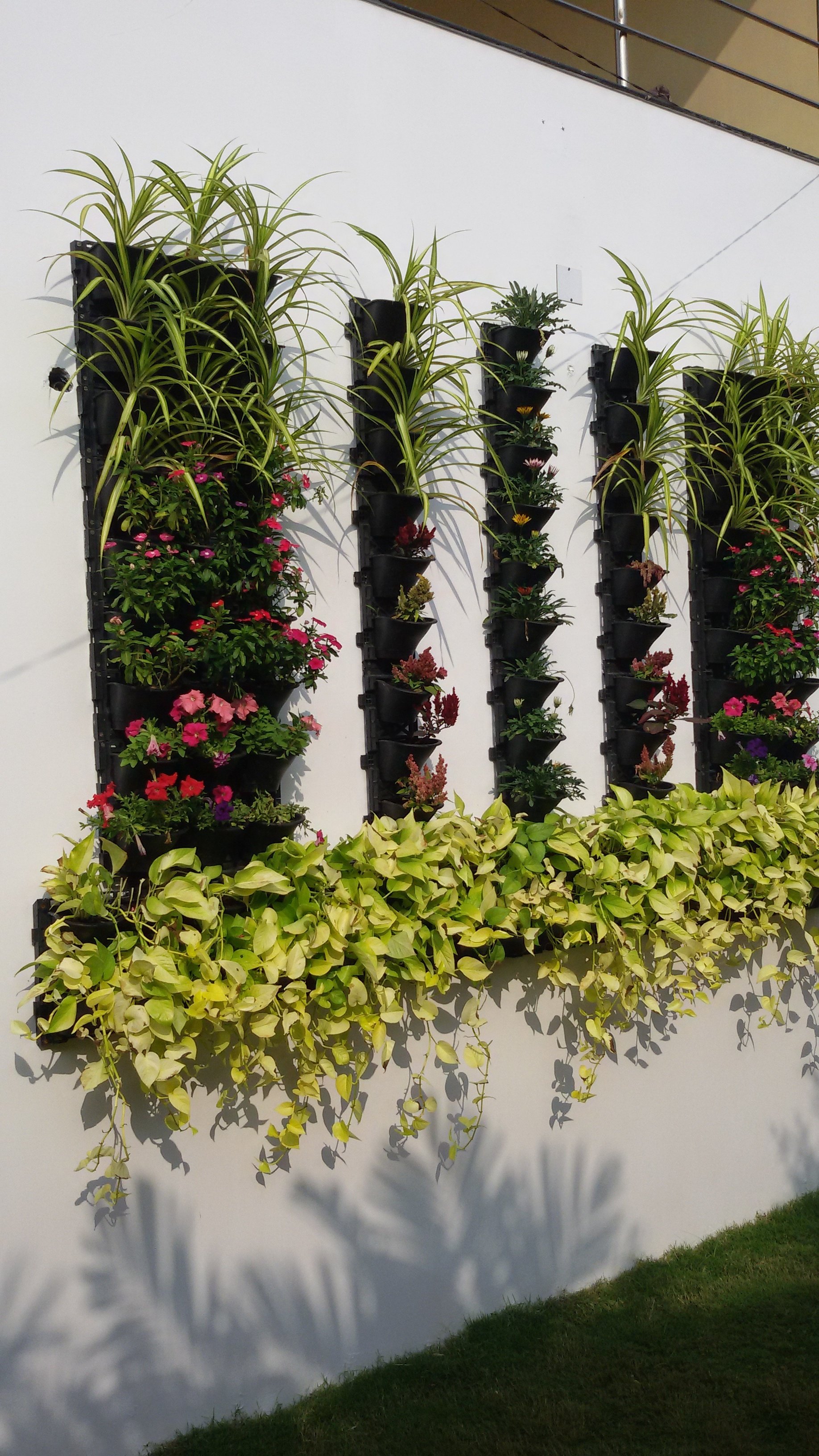 VGC Landscape Project 2