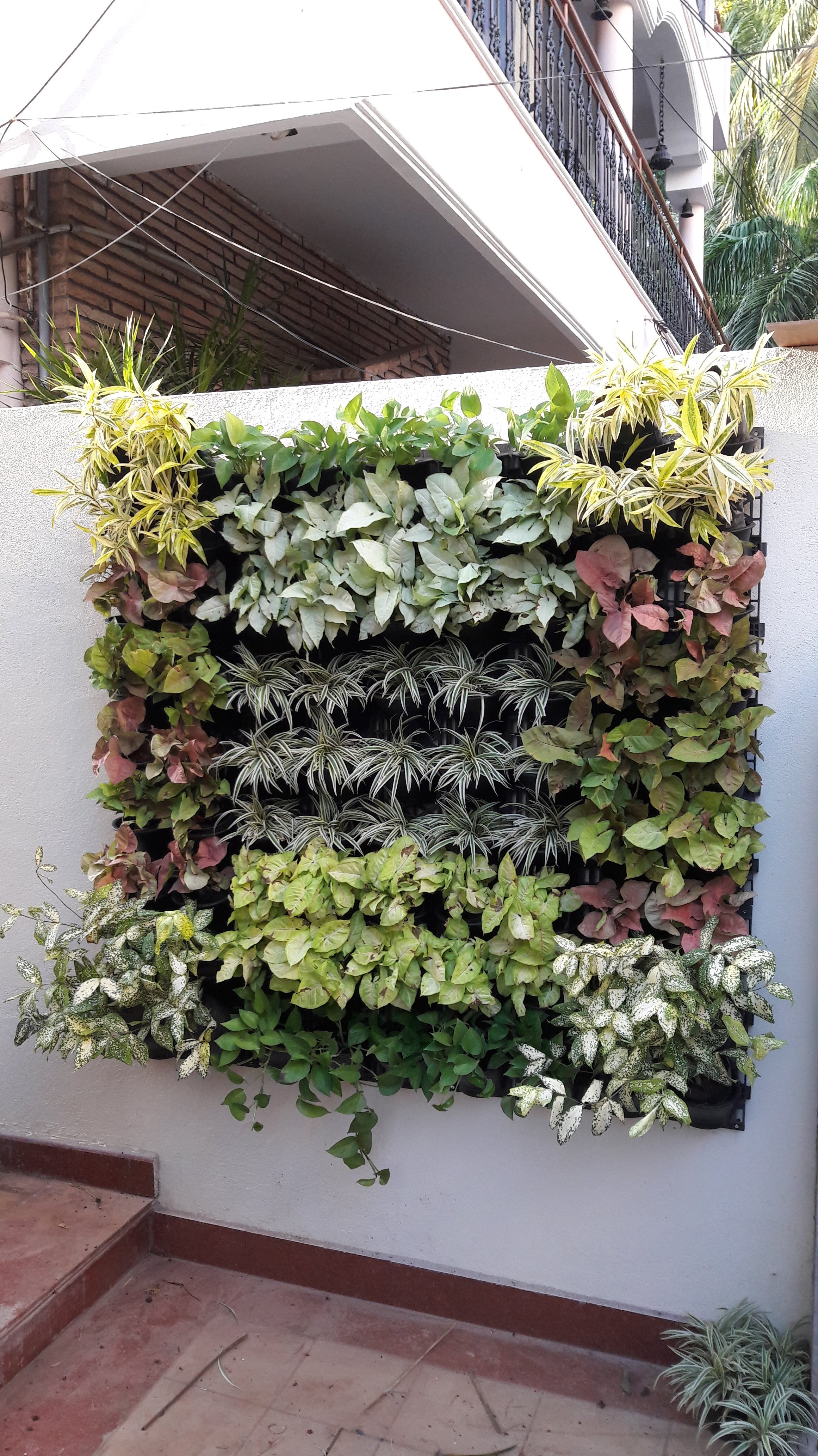 VGC Landscape Project 3