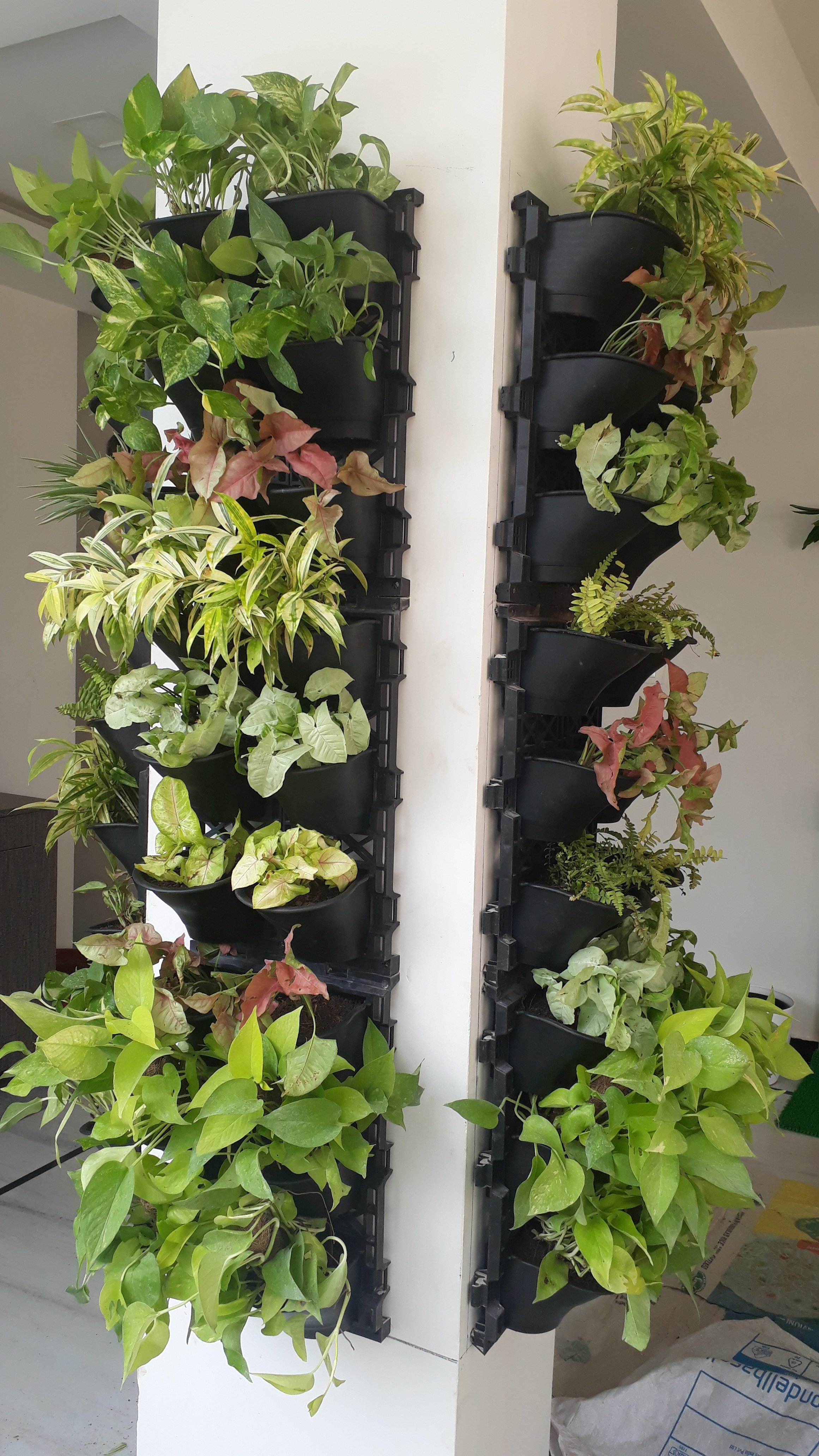 VGC Landscape Project 4