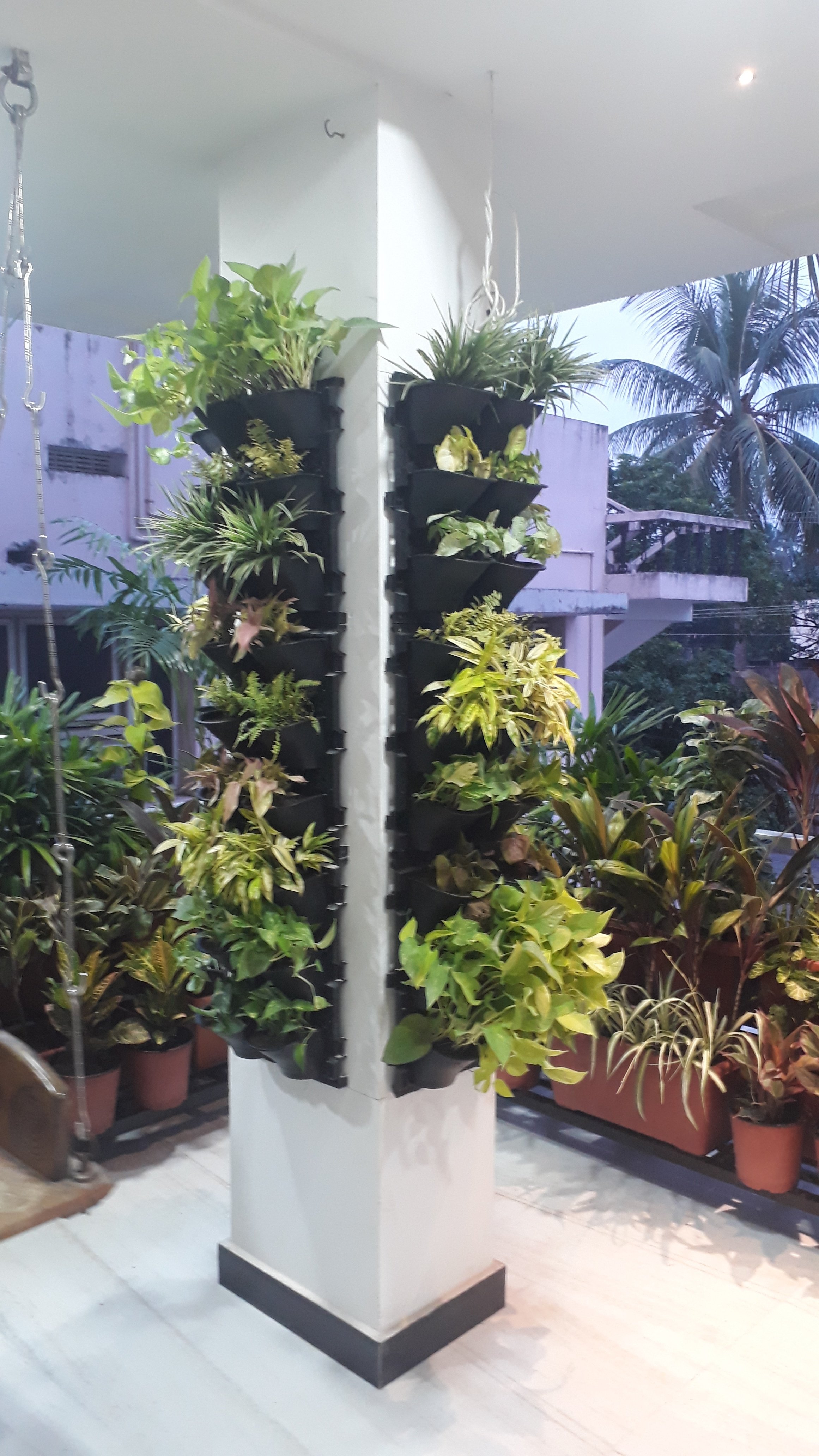 VGC Landscape Project 5