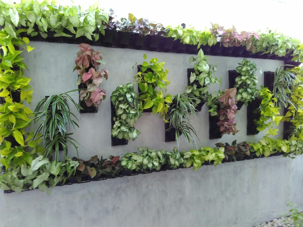 VGC Landscape Project 10