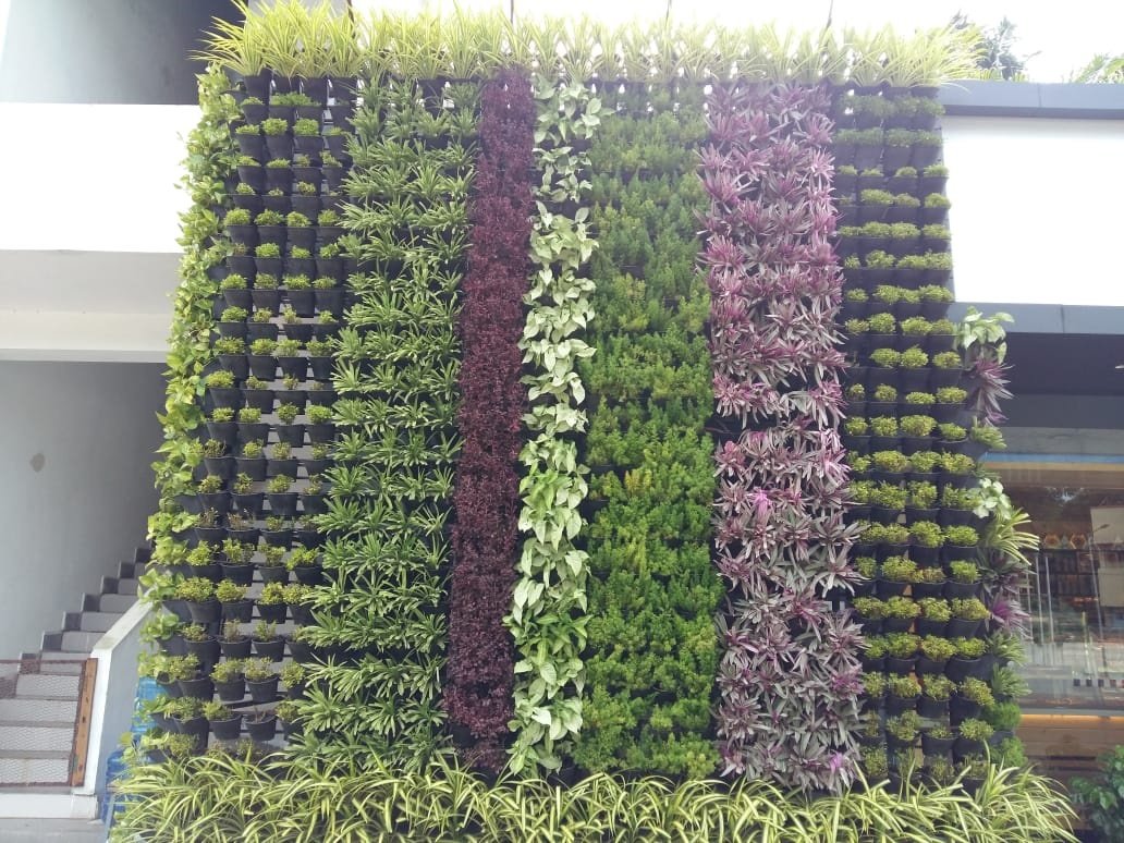 VGC Landscape Project 12