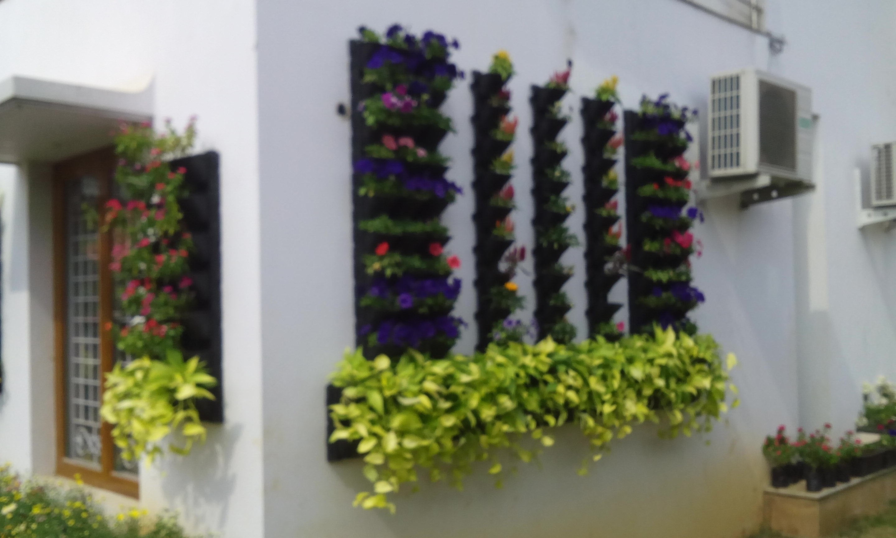 VGC Landscape Project 18