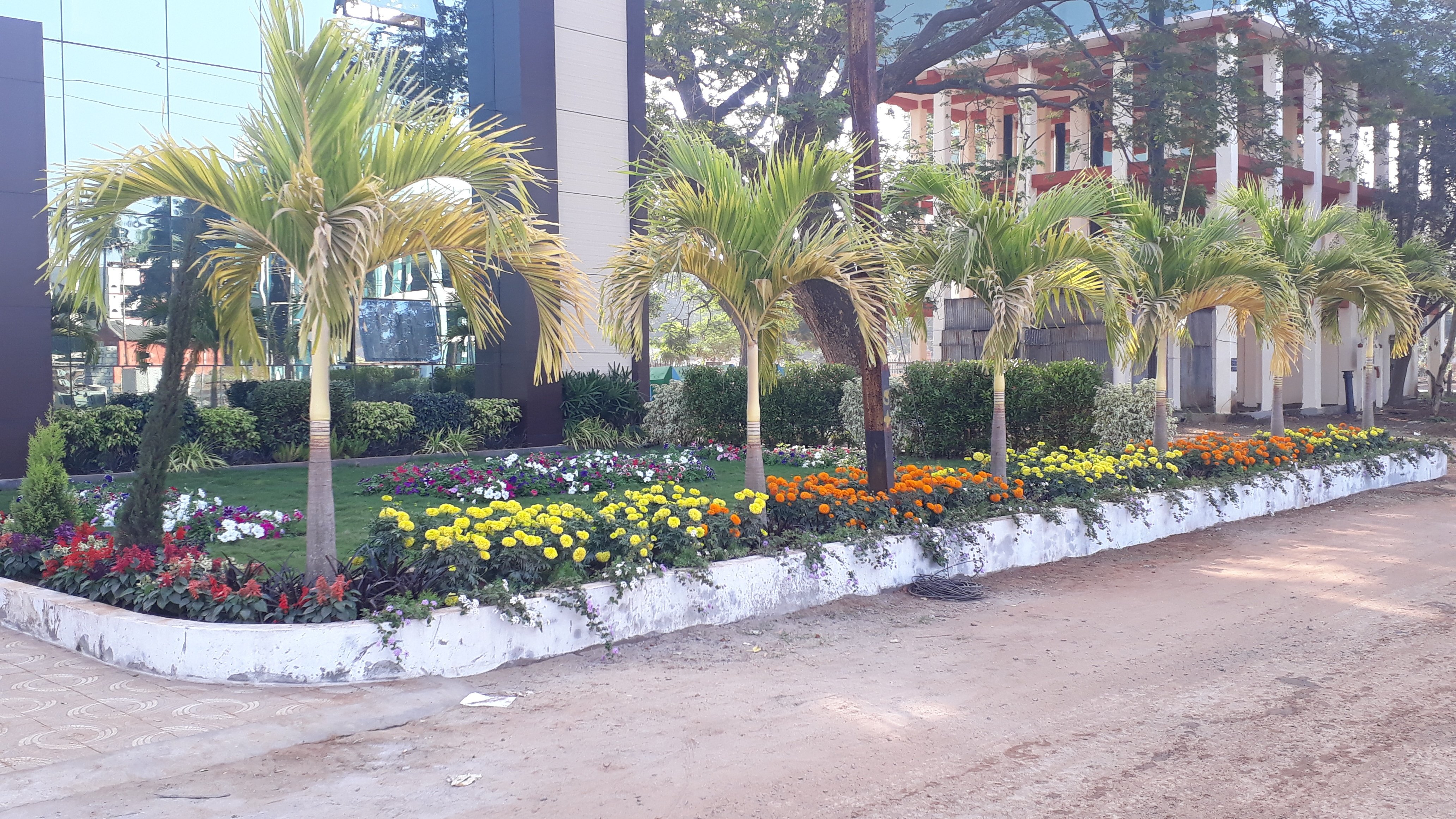 VGC Landscape Project 19