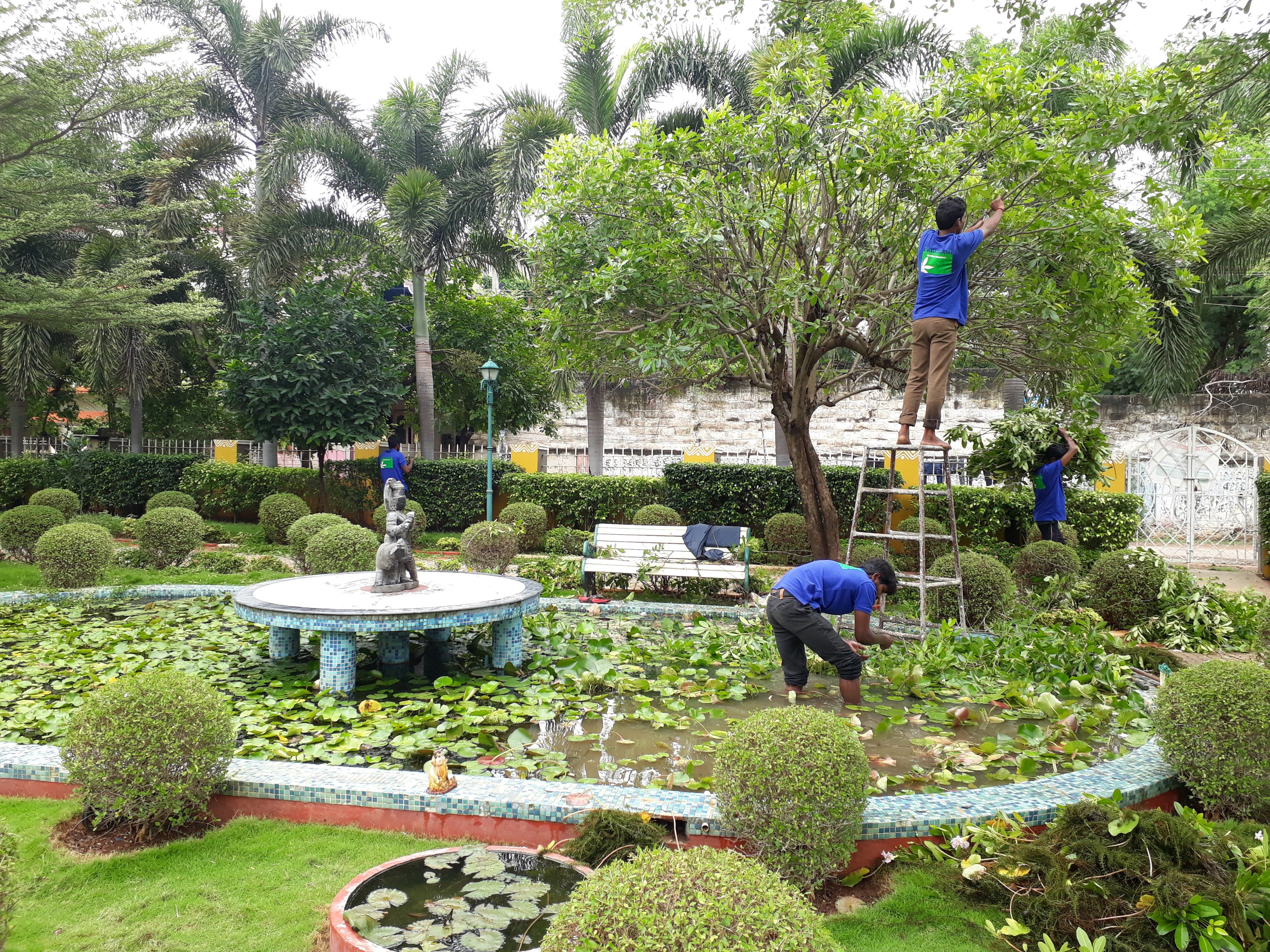 VGC Landscape Project 23