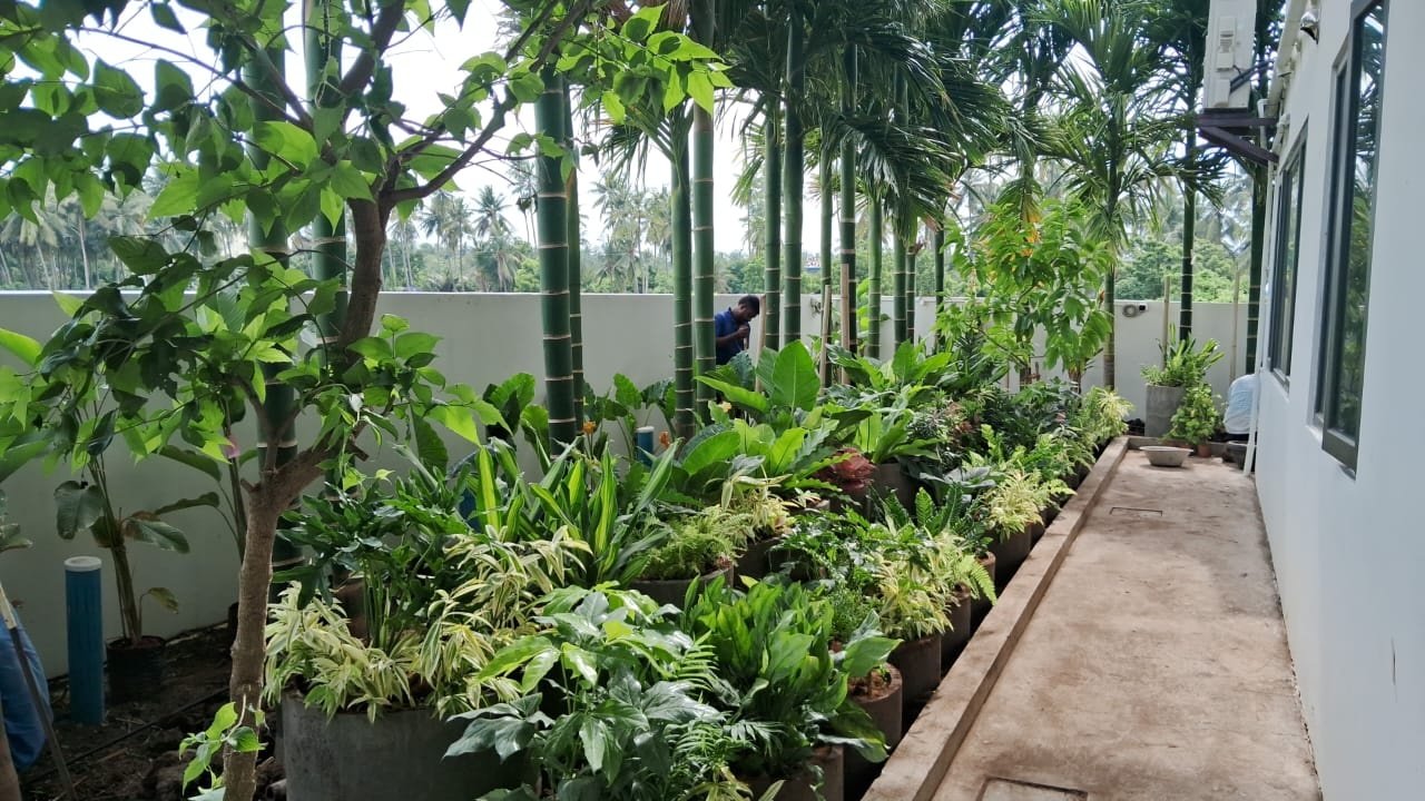 VGC Landscape Project 38