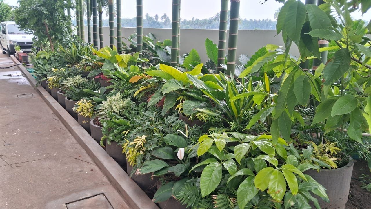 VGC Landscape Project 39