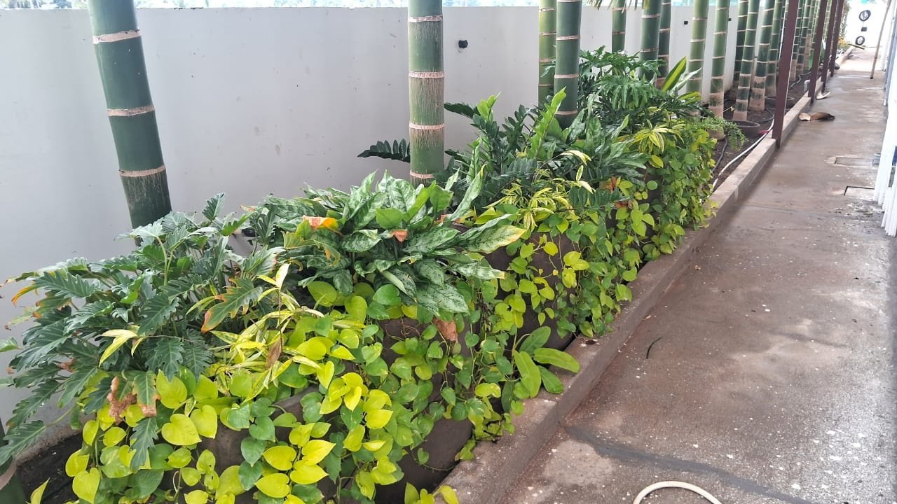 VGC Landscape Project 40