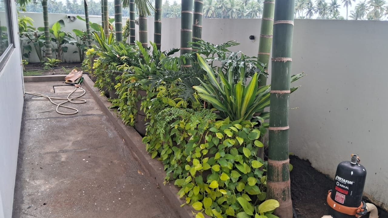 VGC Landscape Project 43