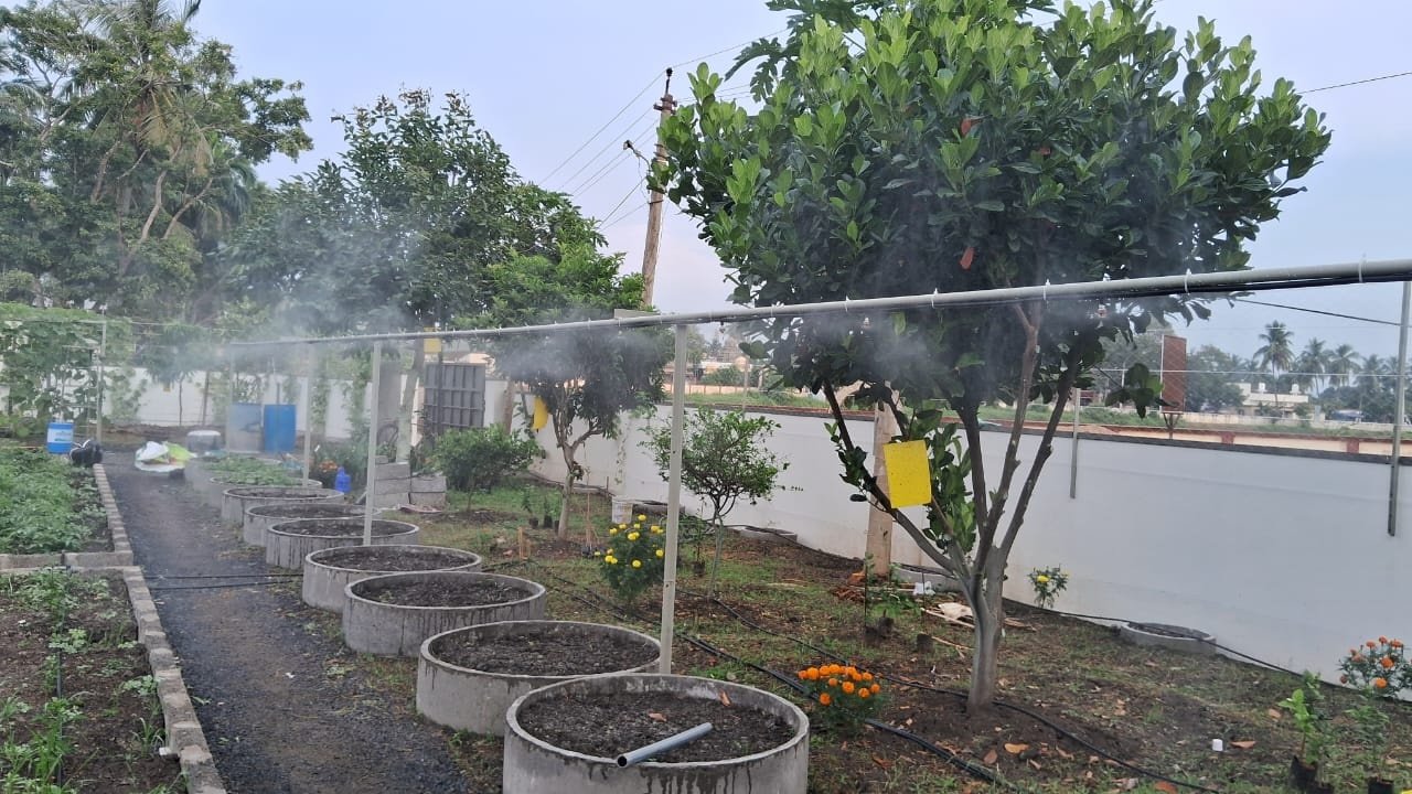 VGC Landscape Project 53