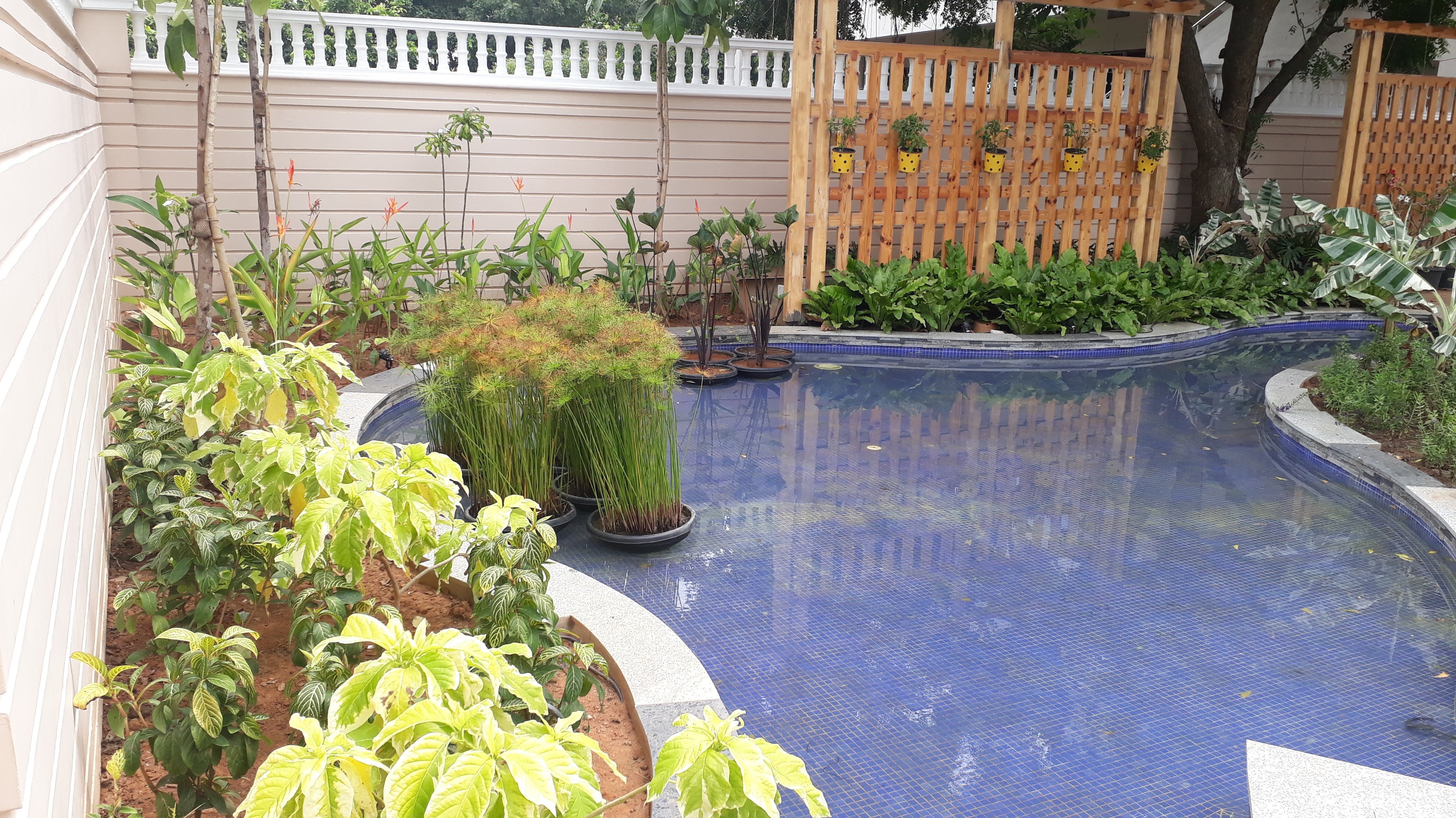 VGC Landscape Project 55