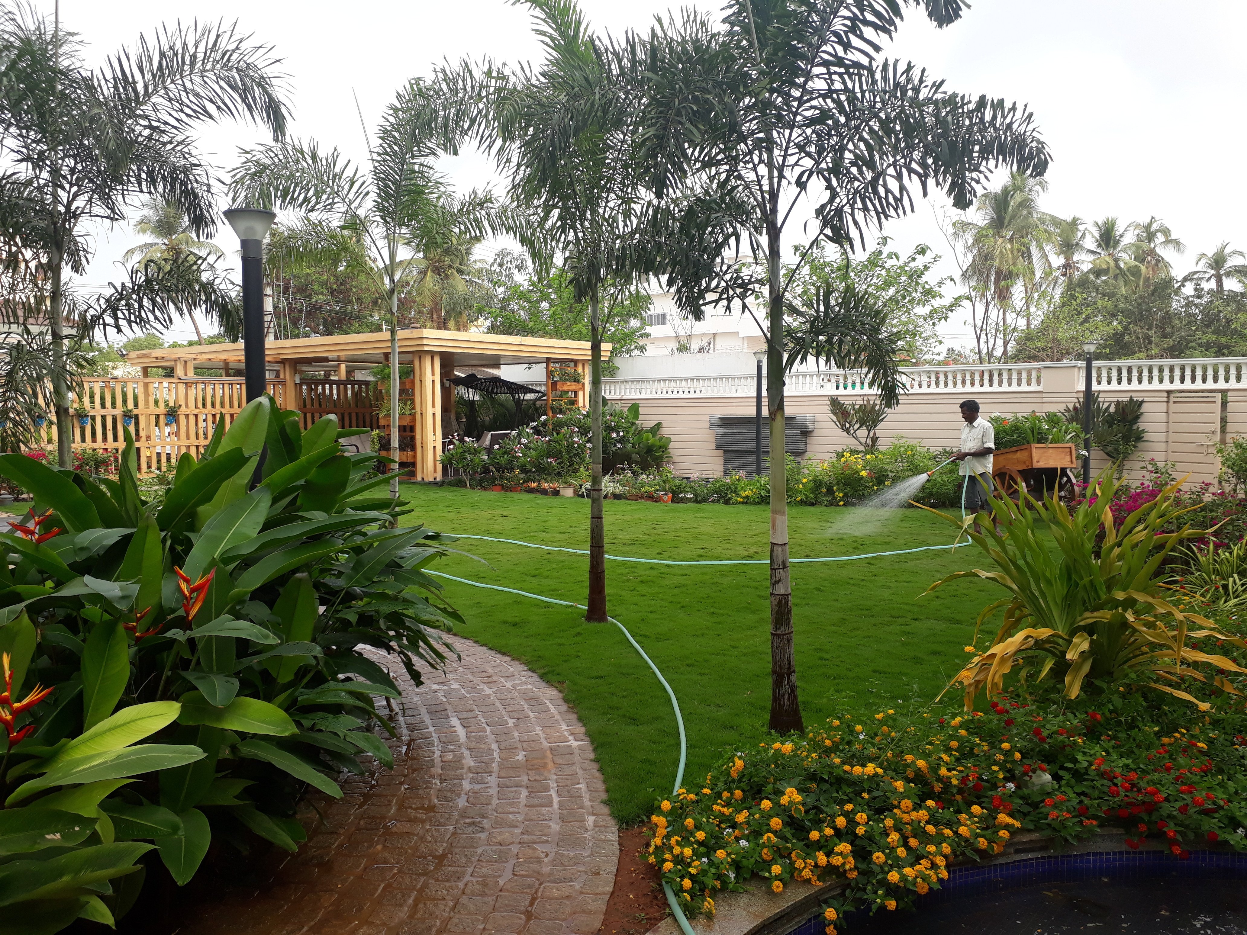 VGC Landscape Project 57