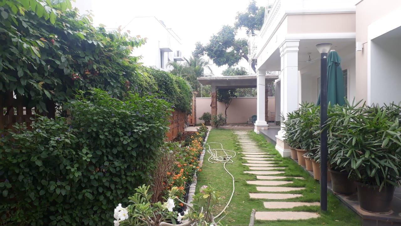 VGC Landscape Project 61