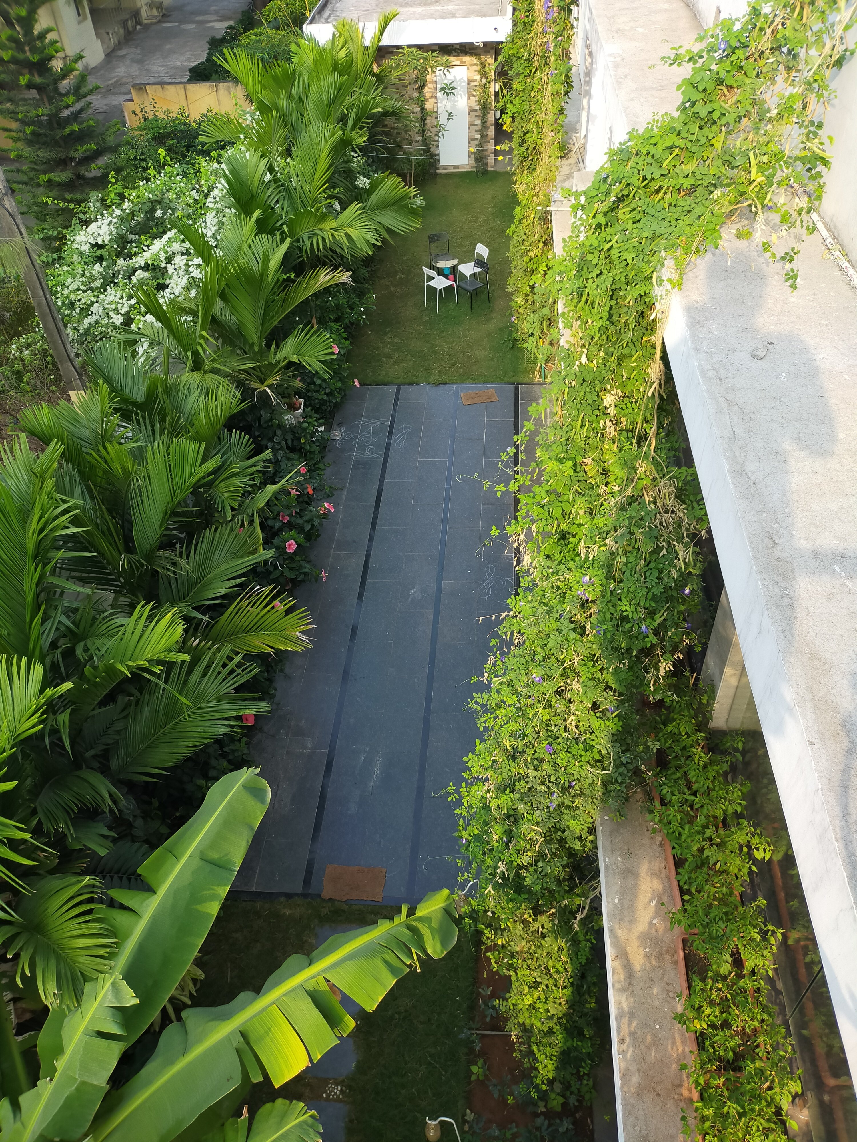 VGC Landscape Project 67