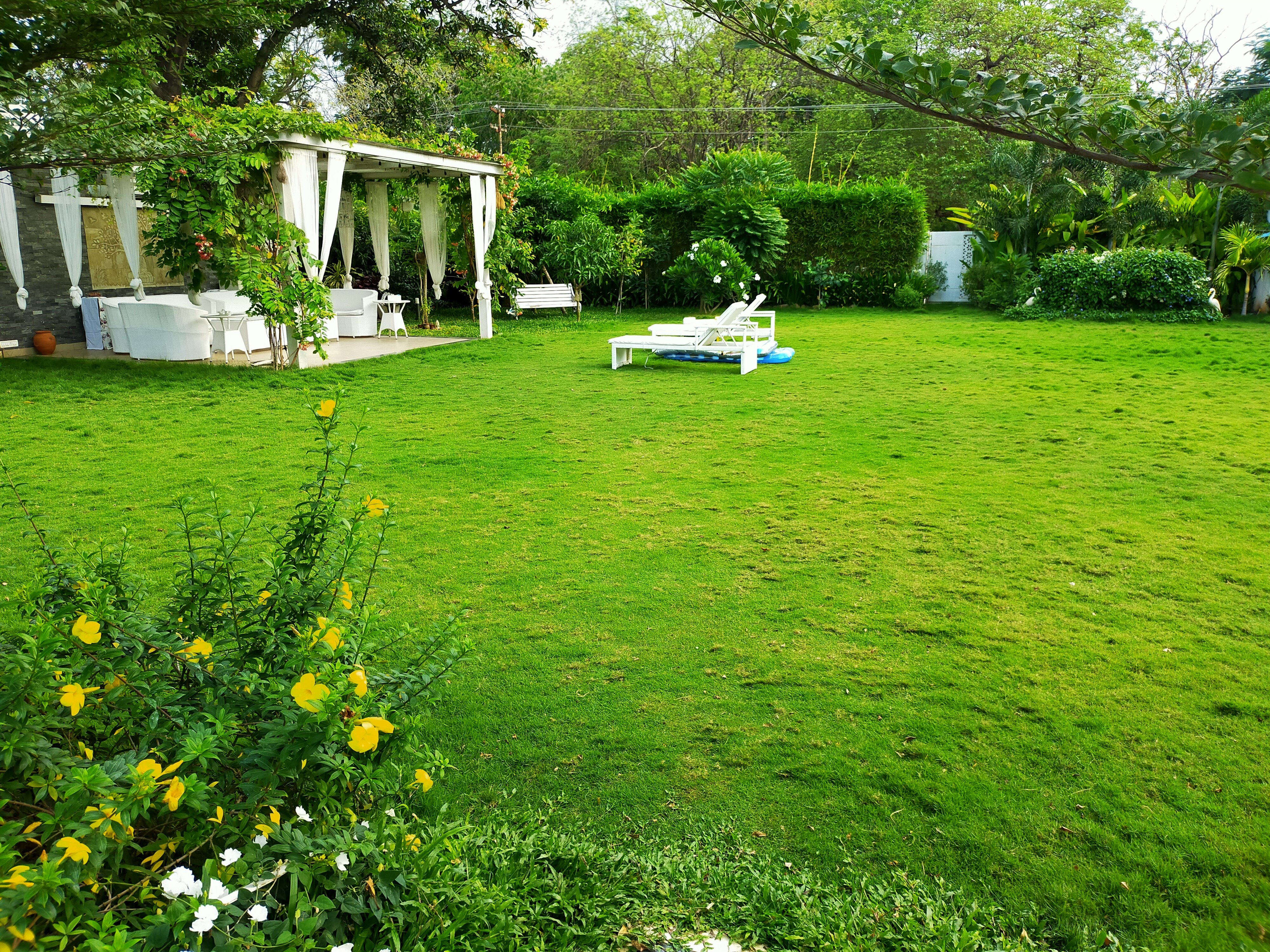 VGC Landscape Project 68