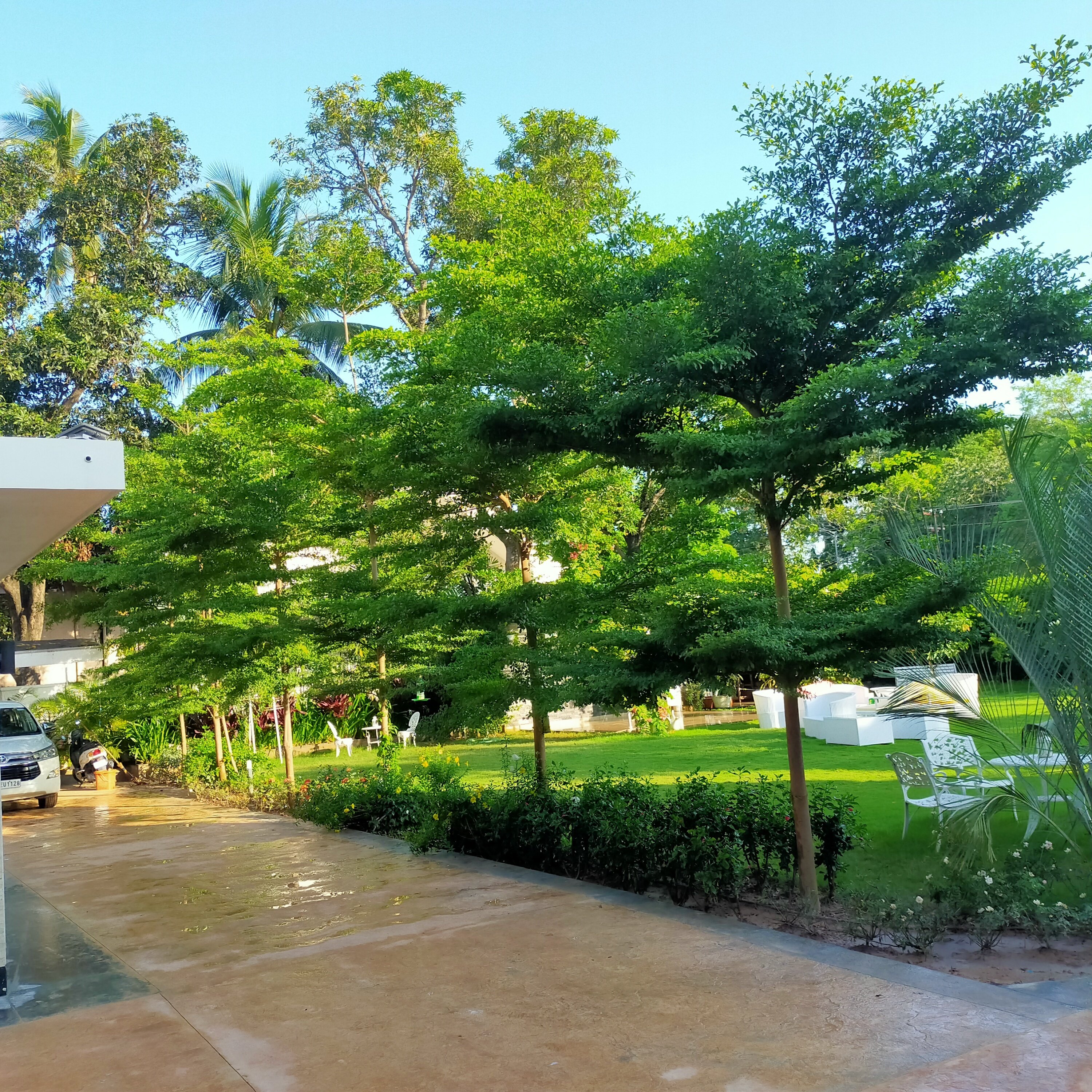 VGC Landscape Project 70