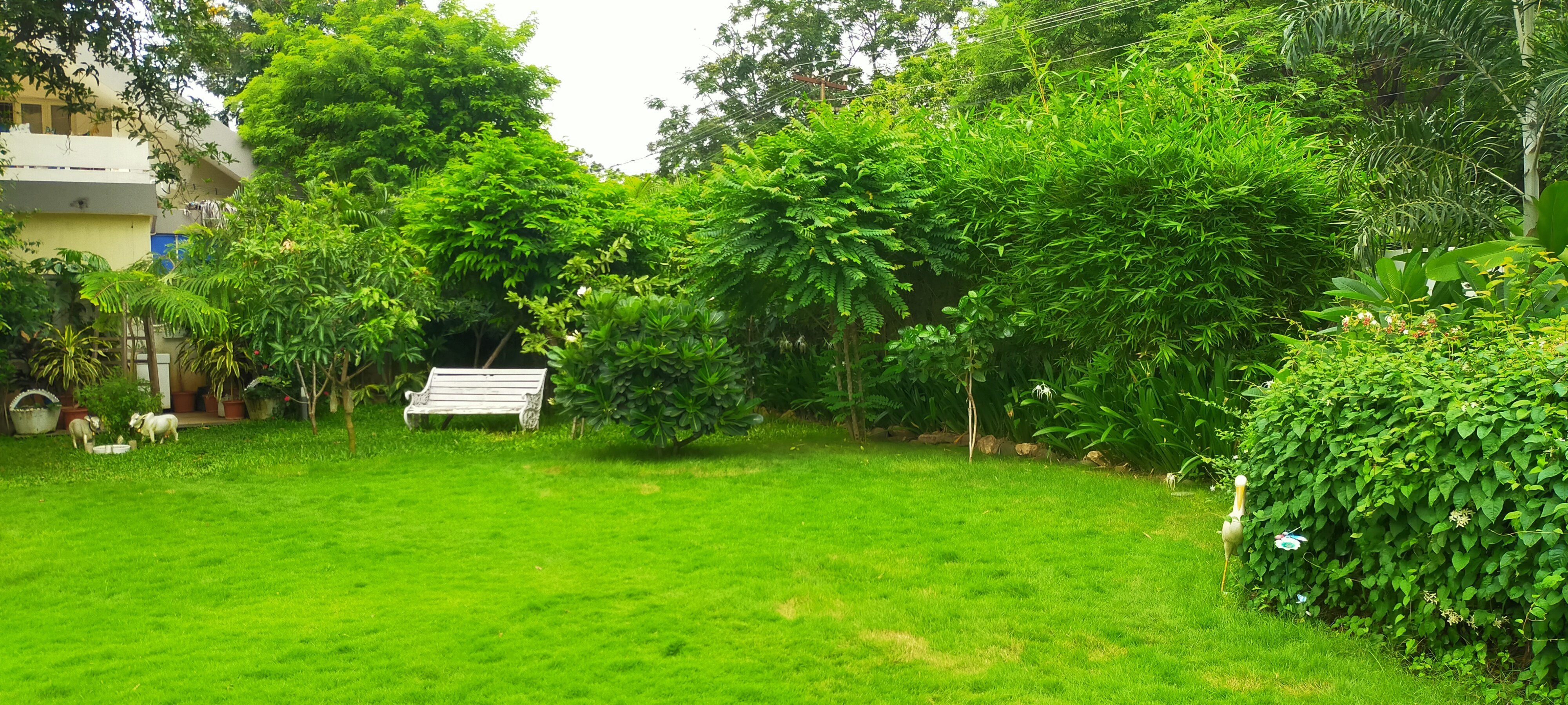 VGC Landscape Project 72