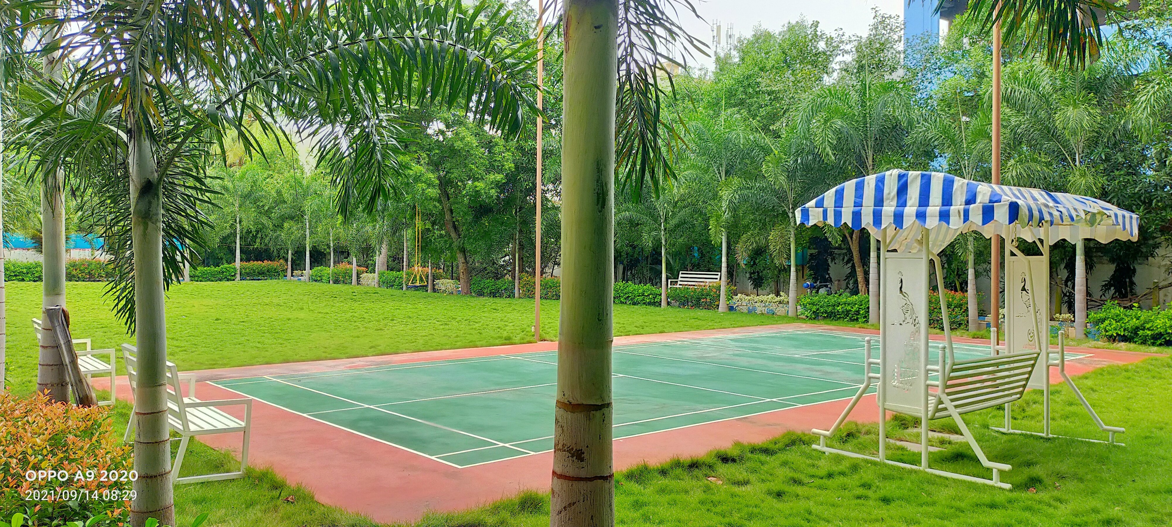 VGC Landscape Project 77