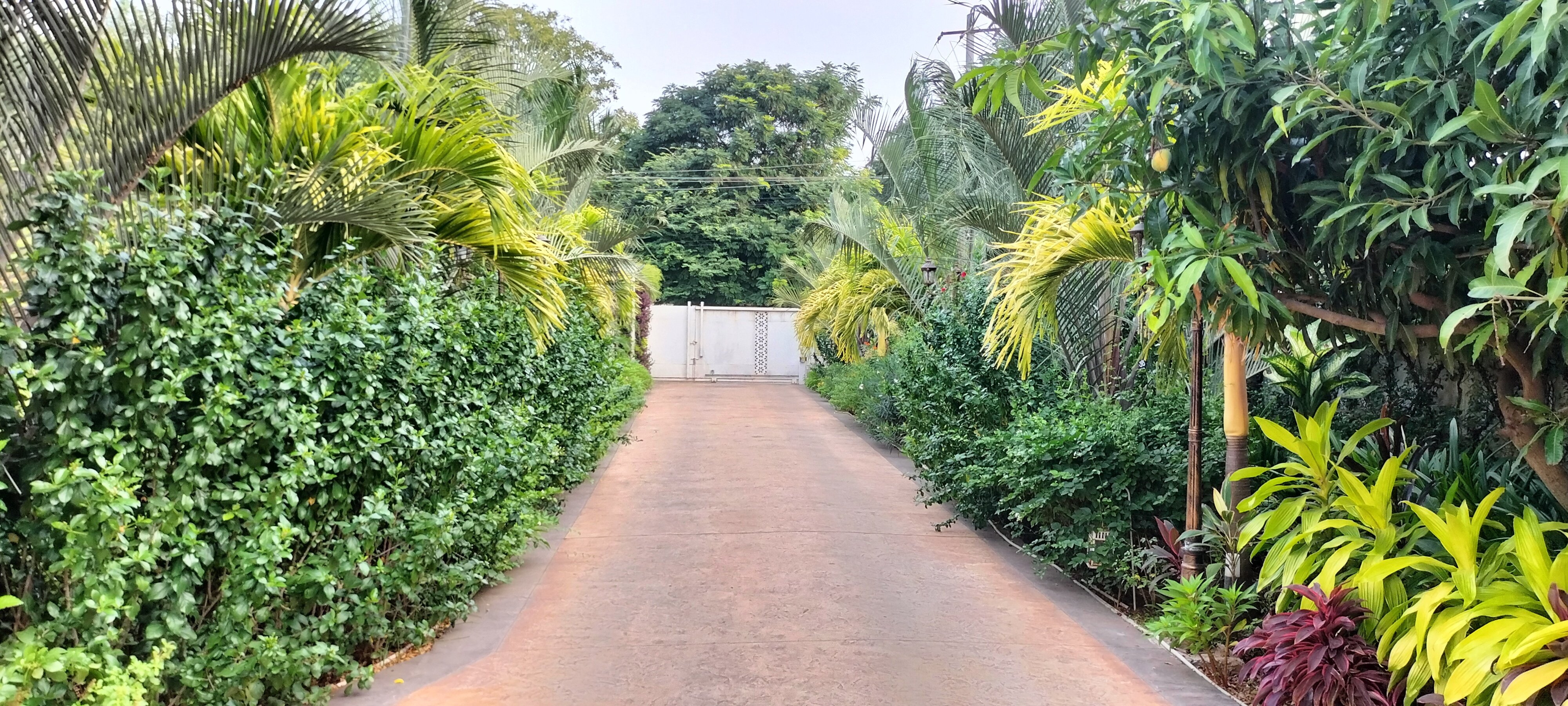 VGC Landscape Project 79