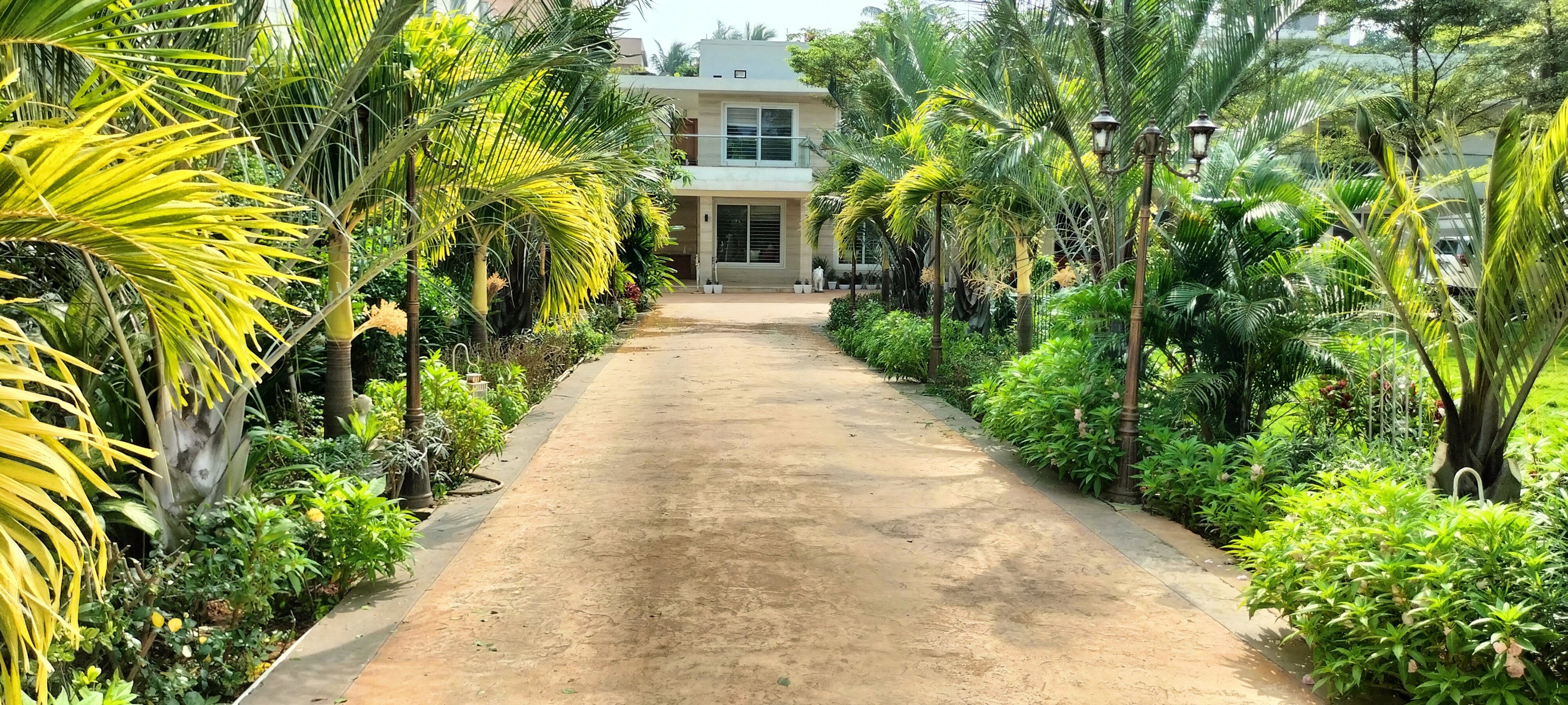 VGC Landscape Project 81