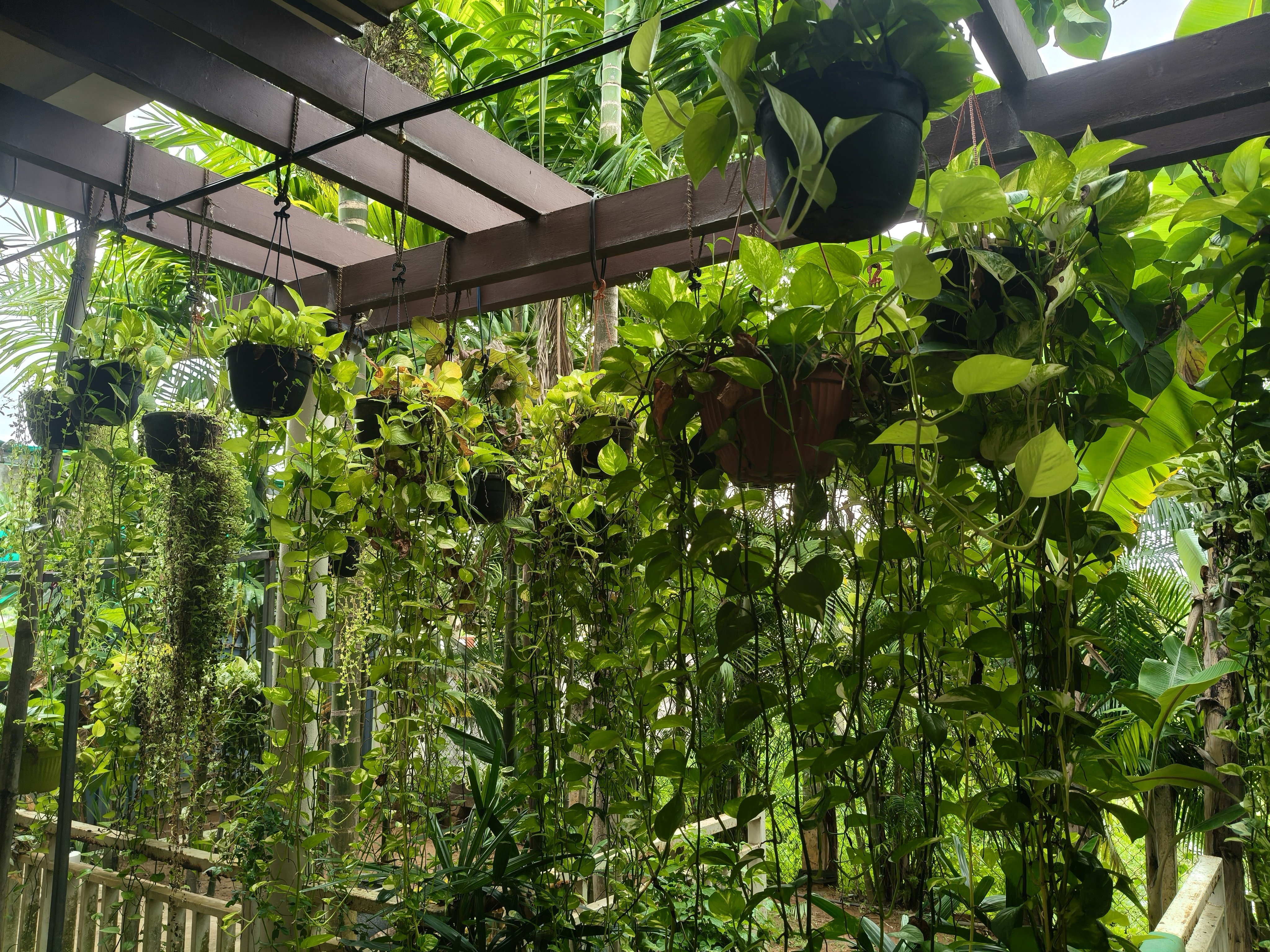 VGC Landscape Project 82