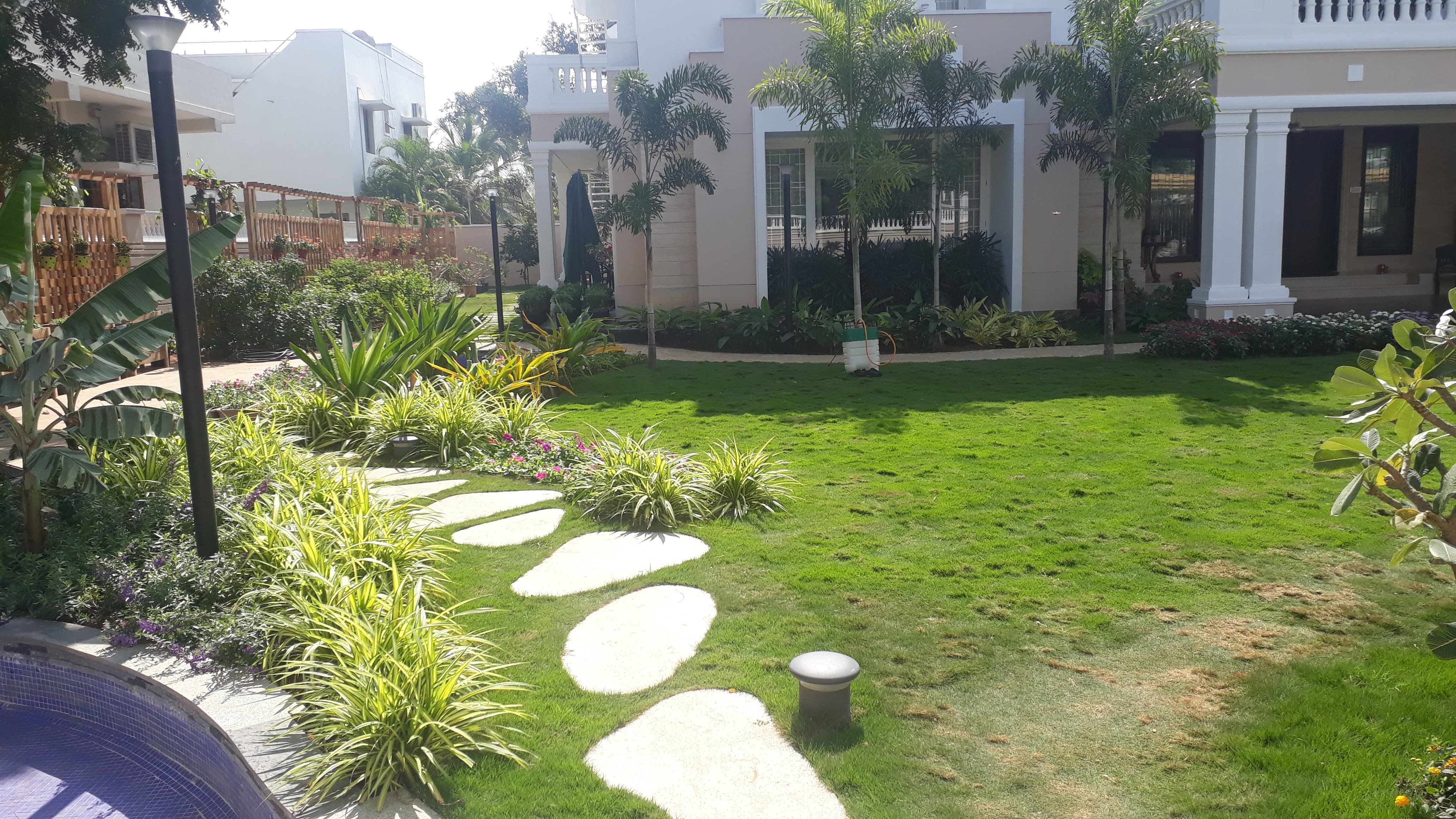 VGC Landscape Project 86