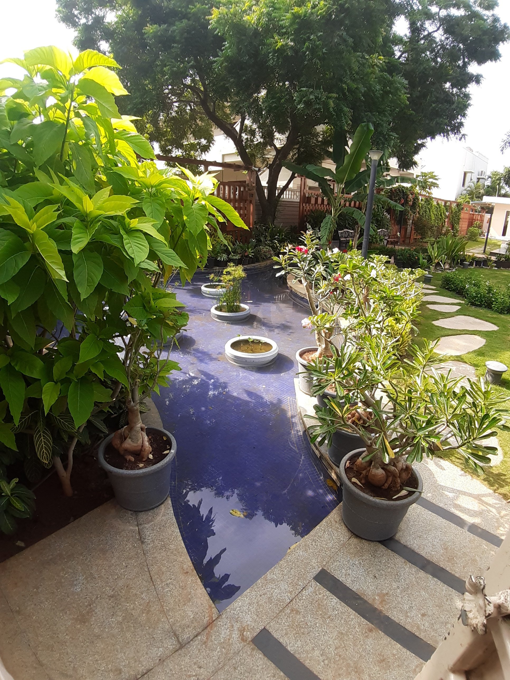 VGC Landscape Project 87