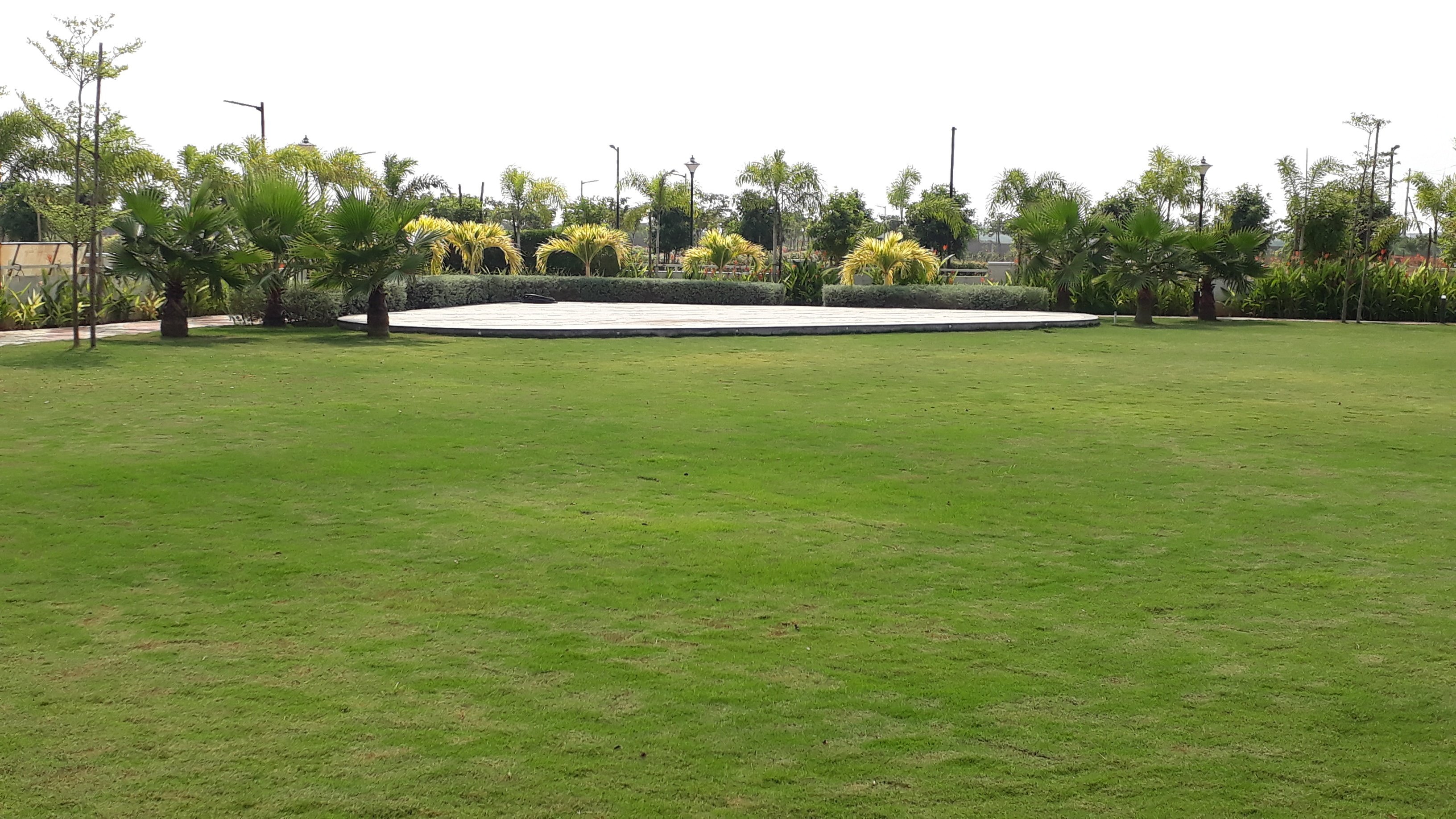 VGC Landscape Project 98