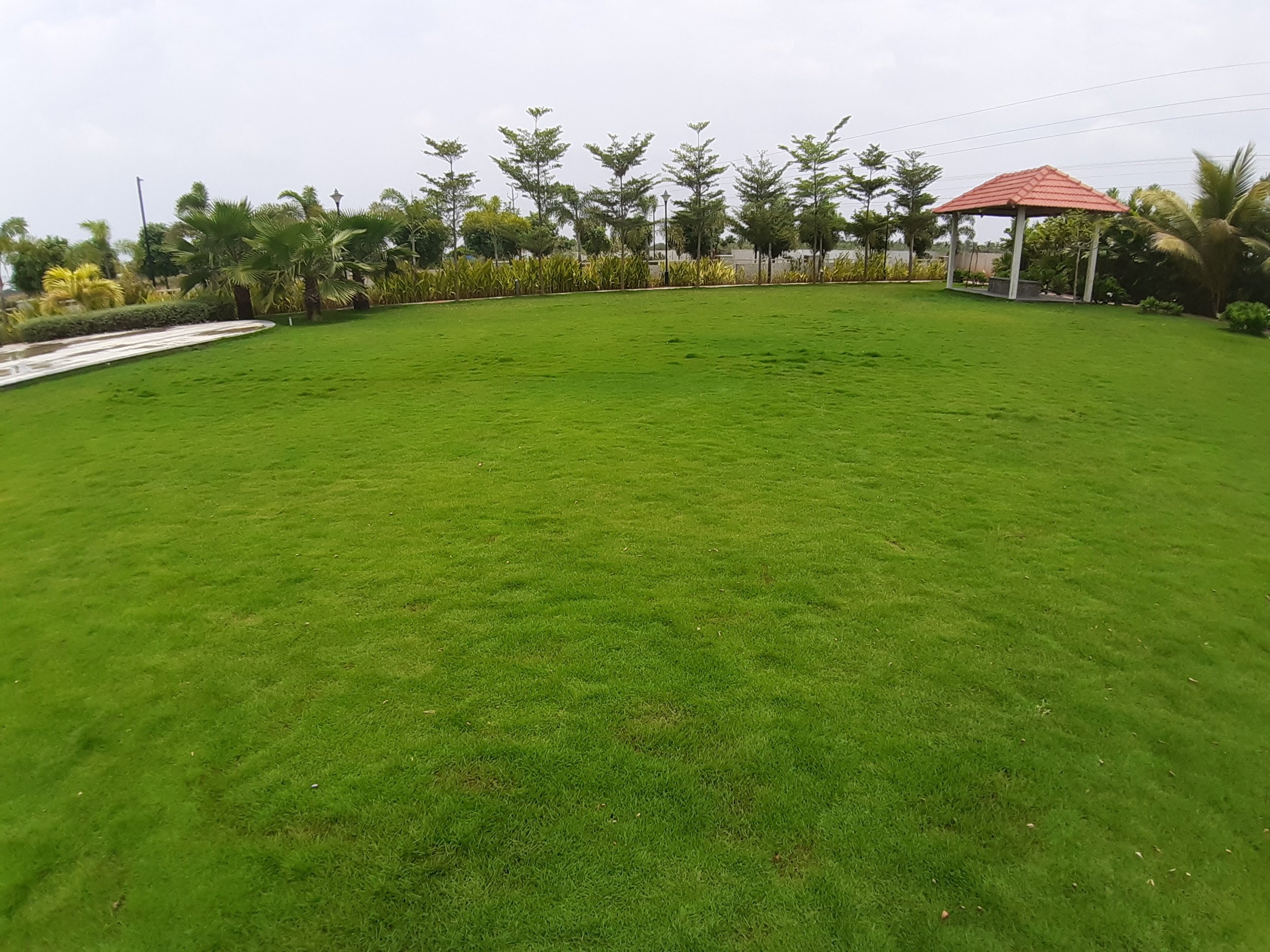 VGC Landscape Project 99