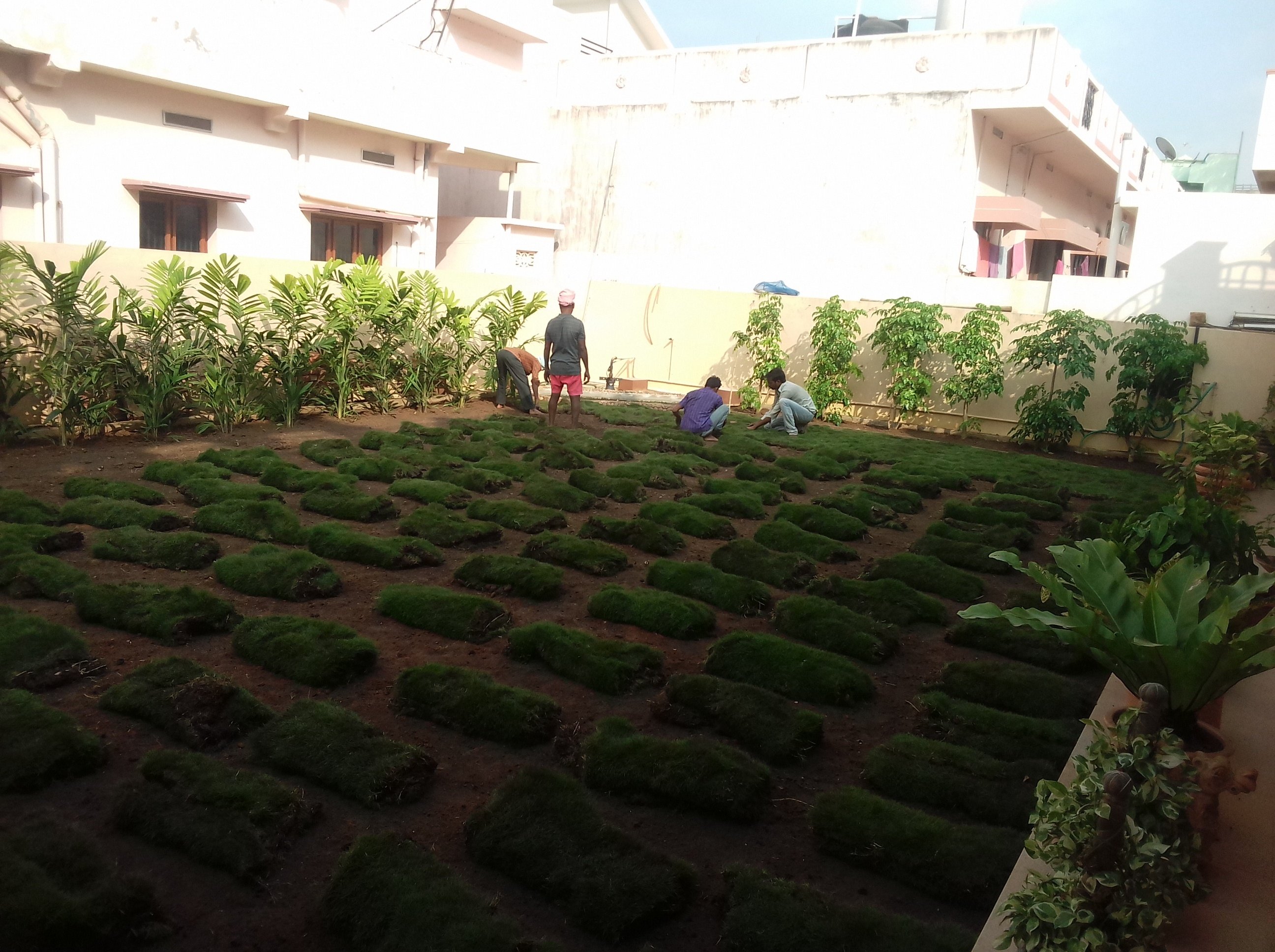 VGC Landscape Project 100