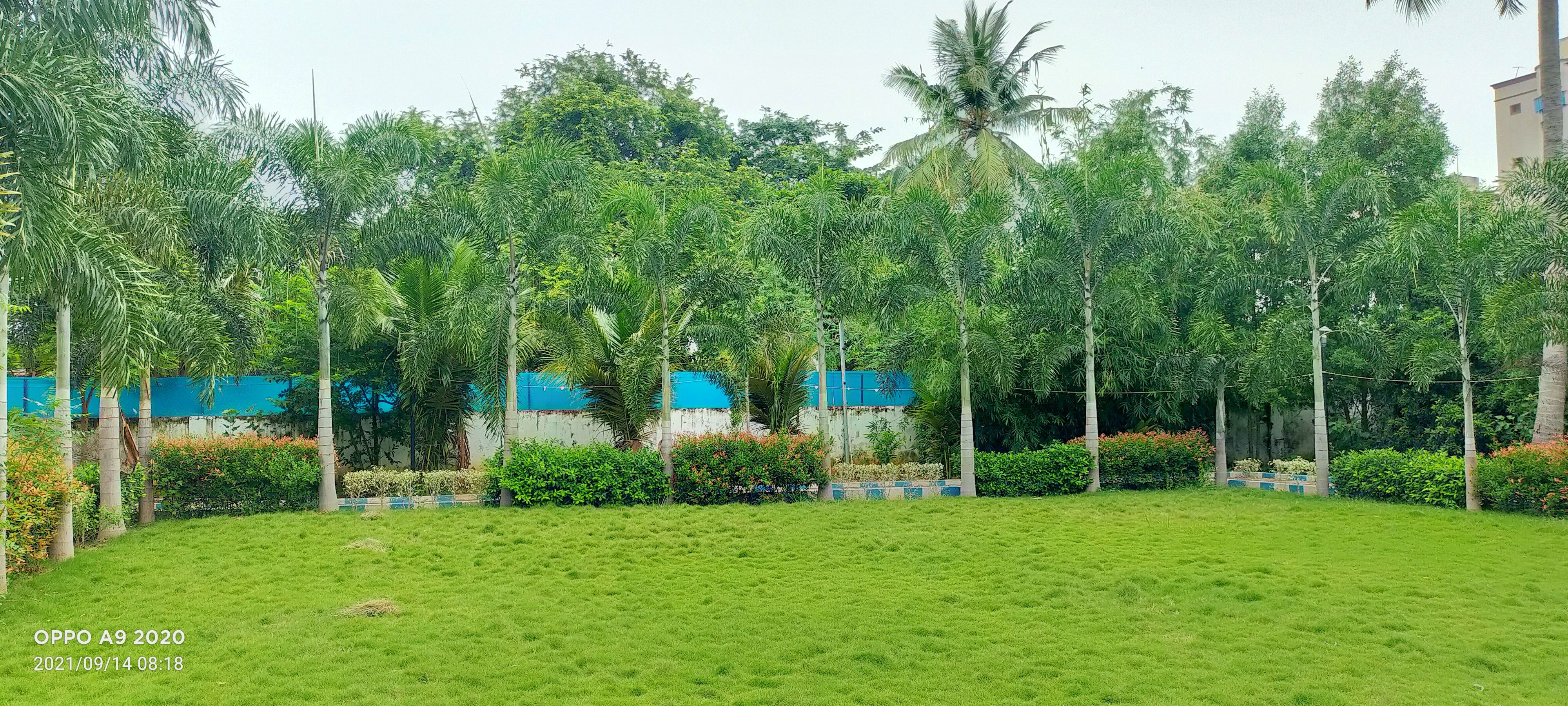 VGC Landscape Project 110