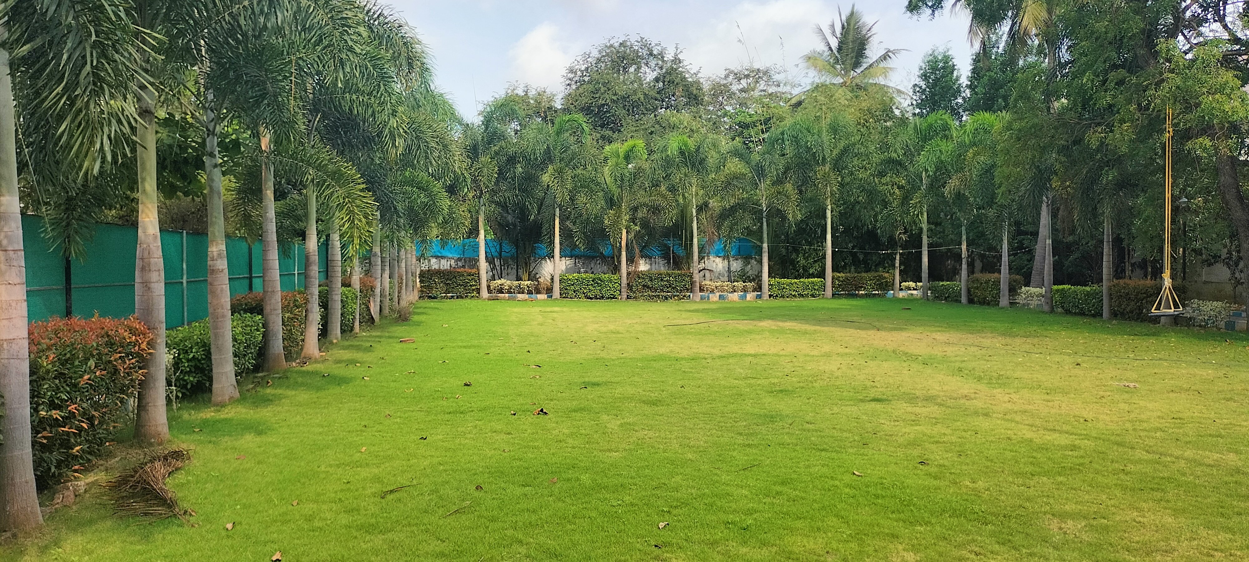 VGC Landscape Project 113