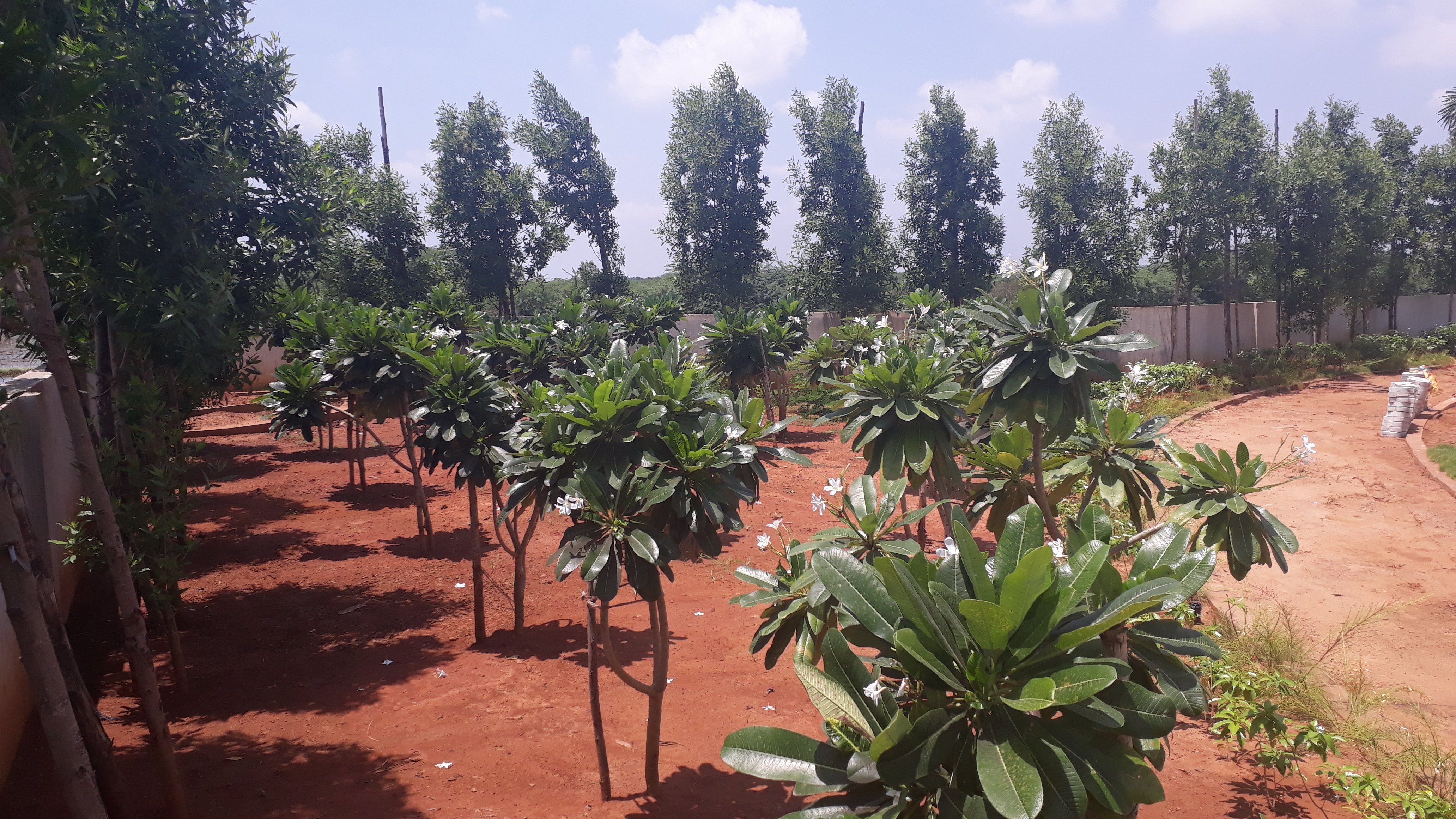 VGC Landscape Project 114