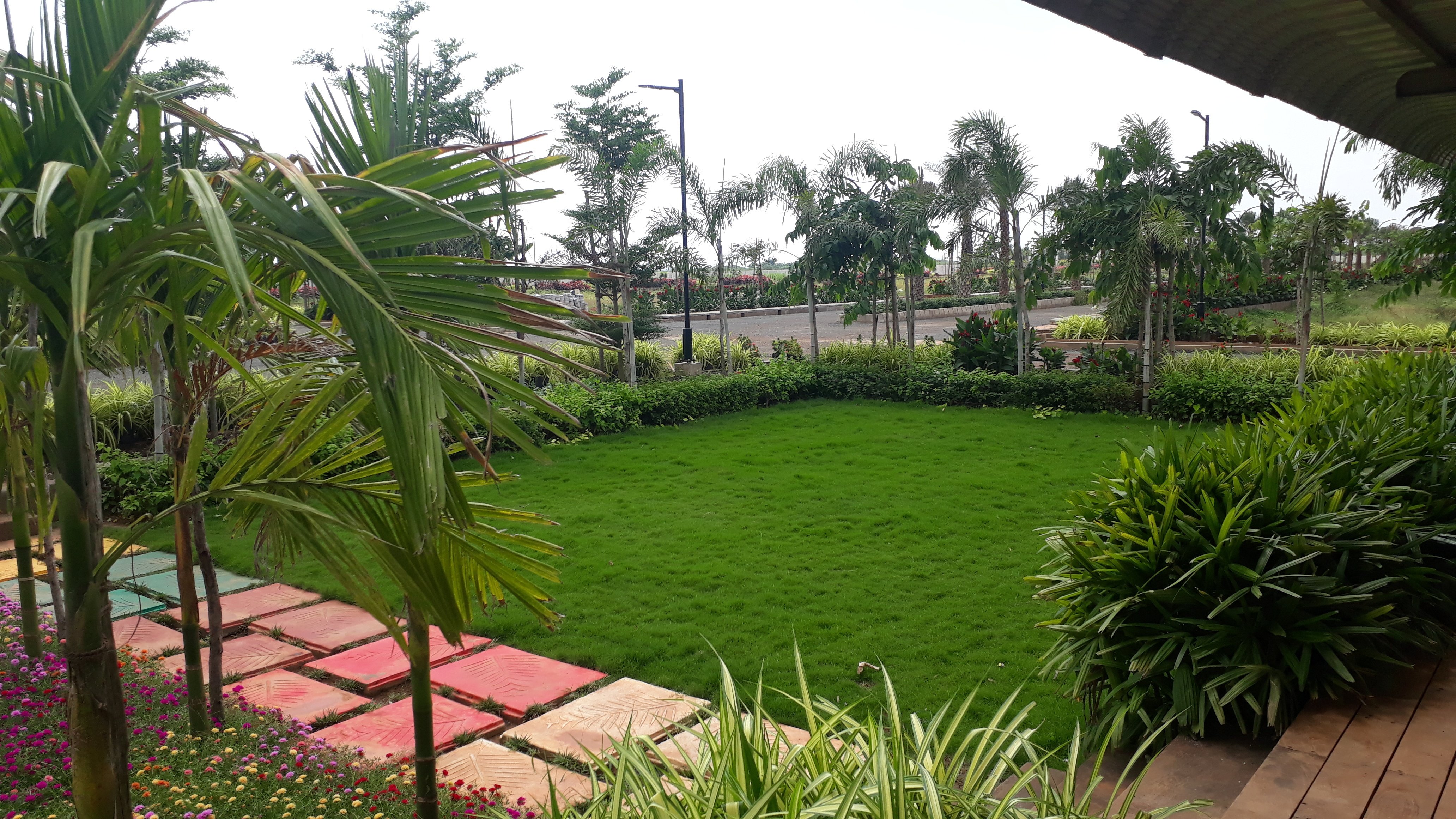 VGC Landscape Project 116