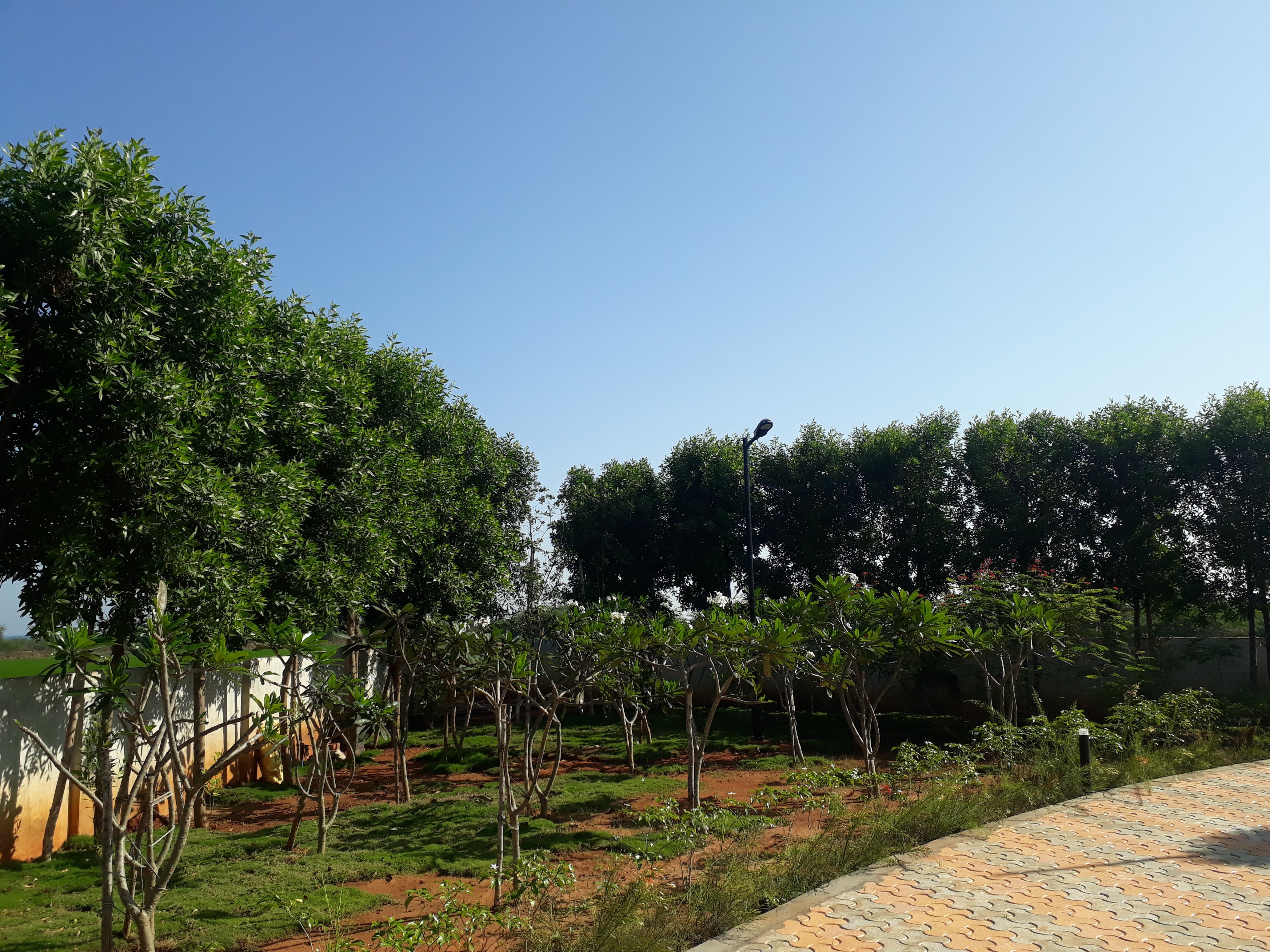 VGC Landscape Project 118