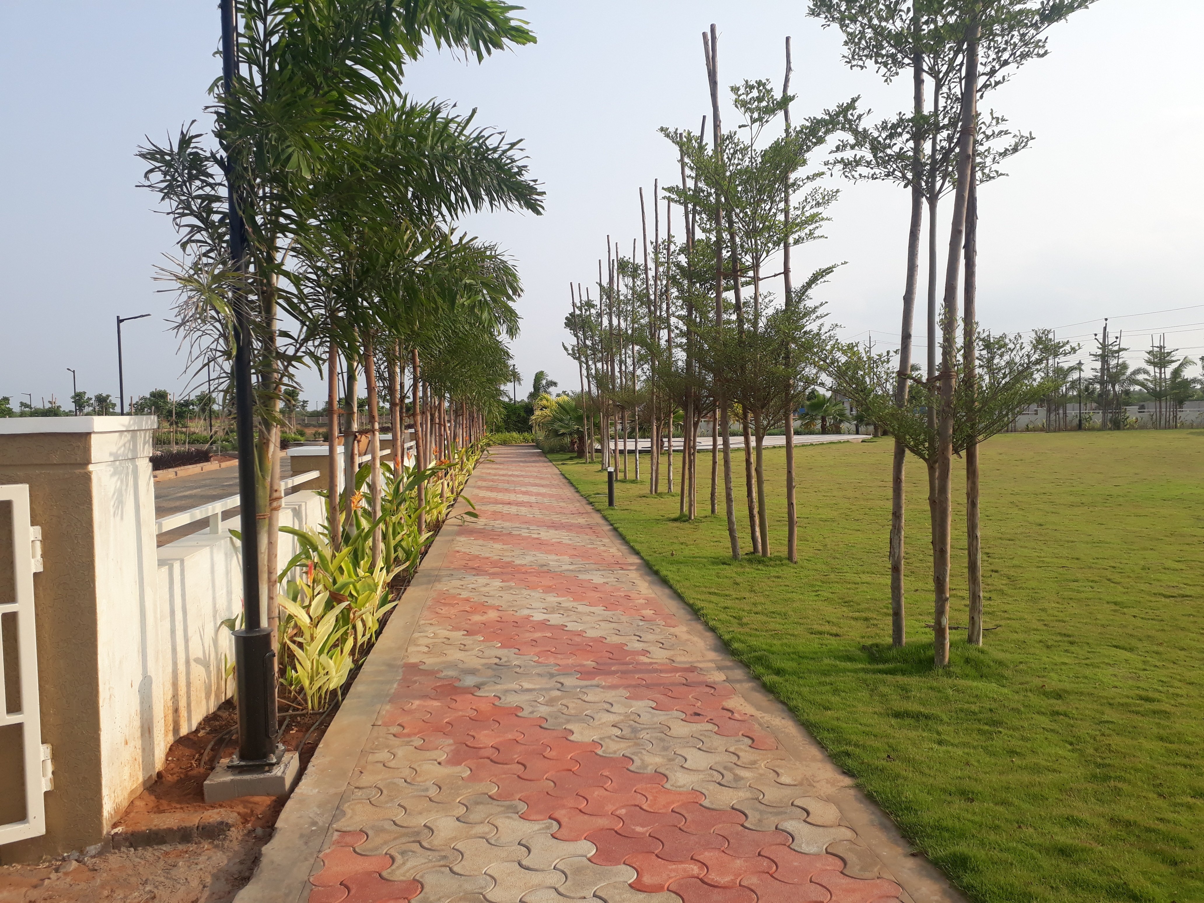 VGC Landscape Project 119