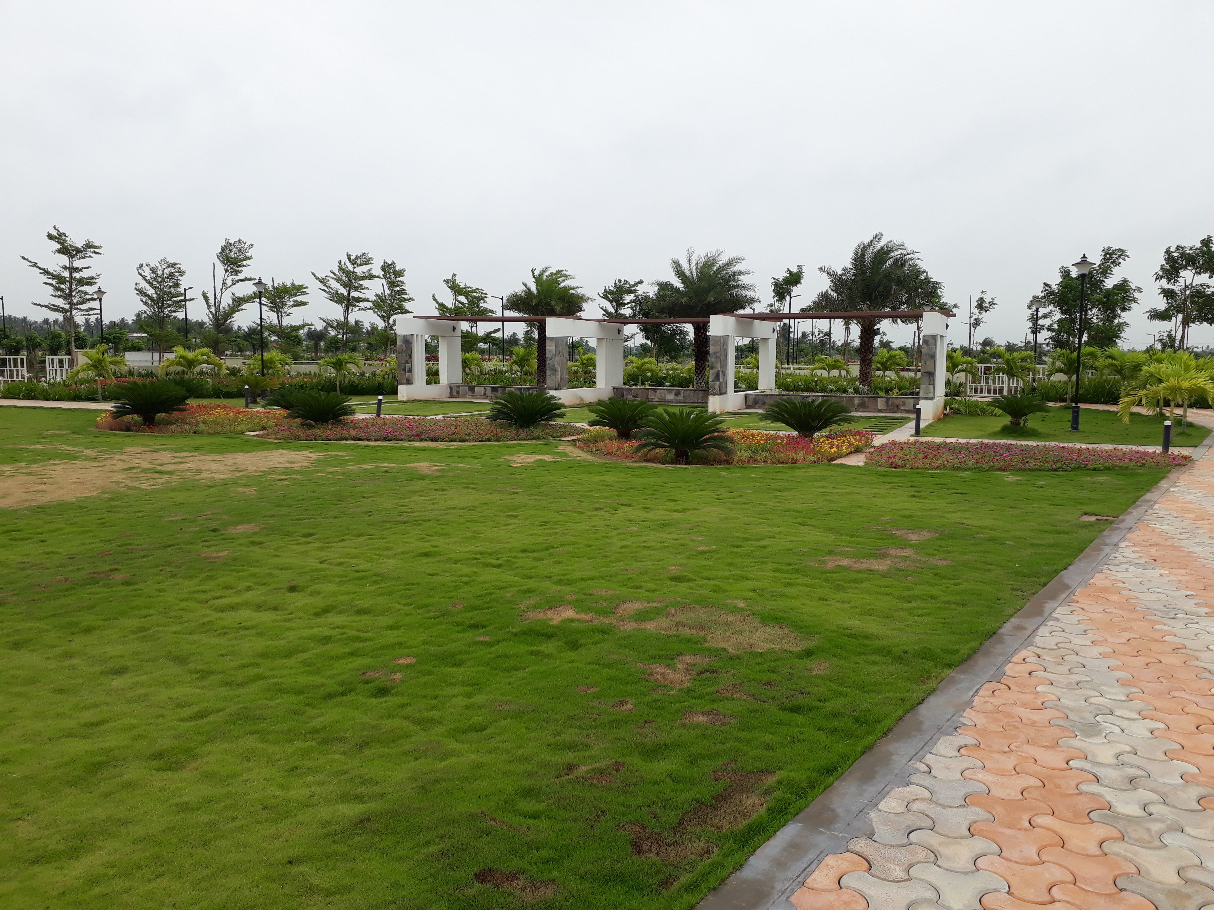 VGC Landscape Project 121