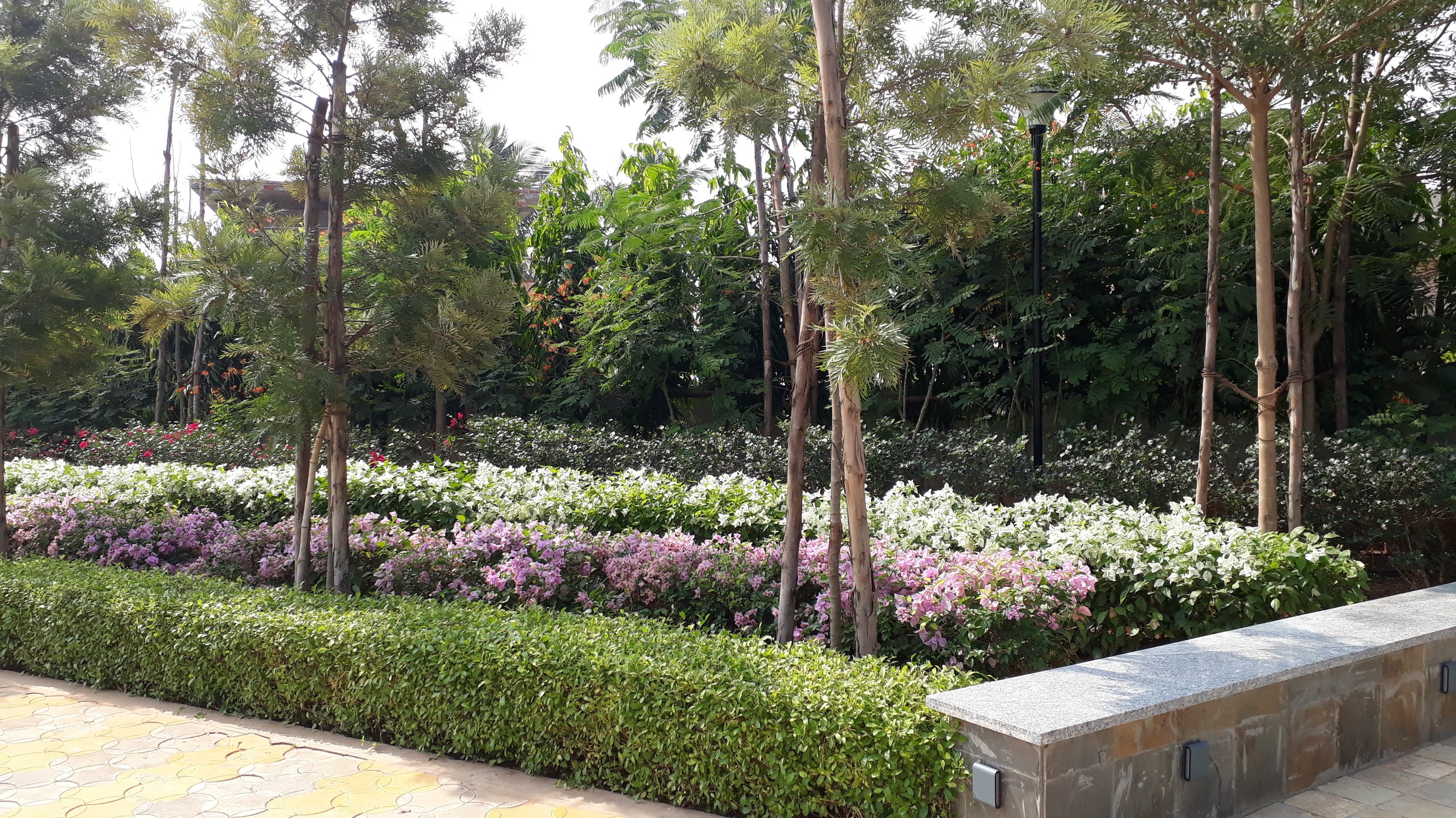 VGC Landscape Project 128