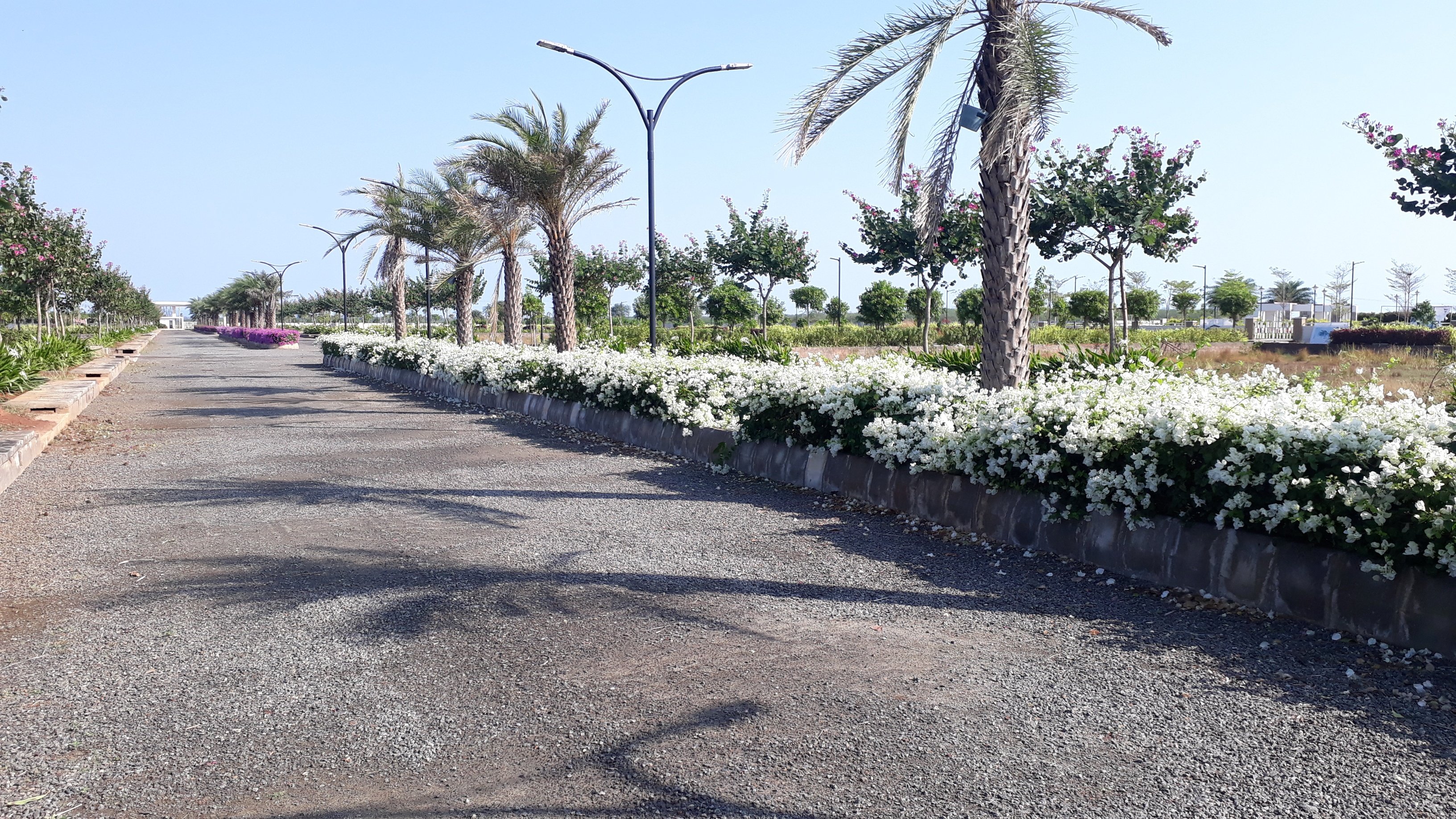 VGC Landscape Project 130