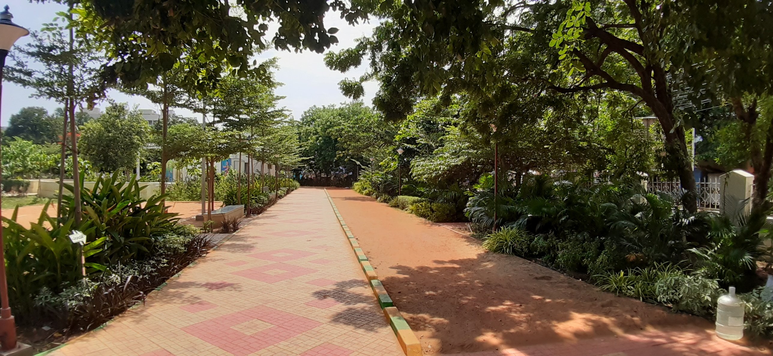 VGC Landscape Project 133