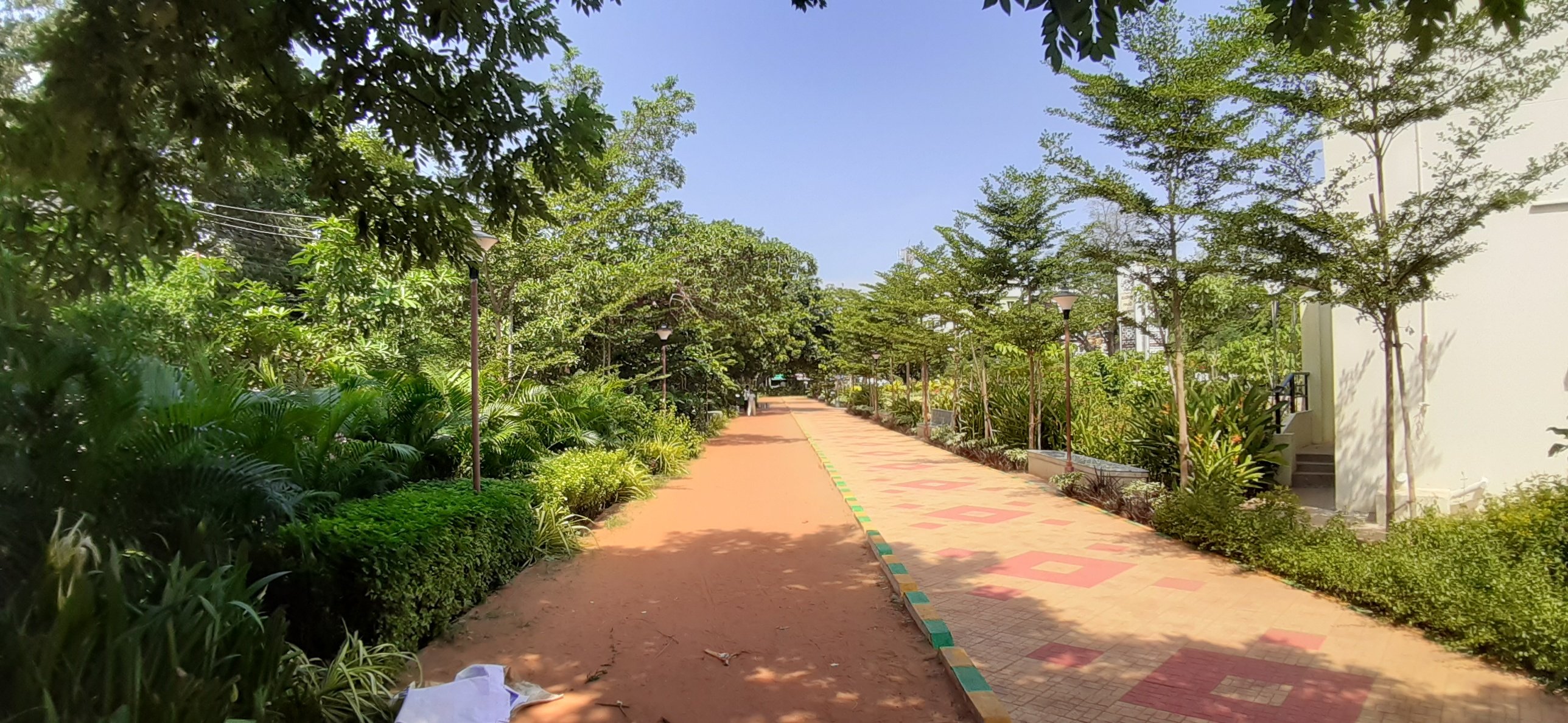 VGC Landscape Project 134