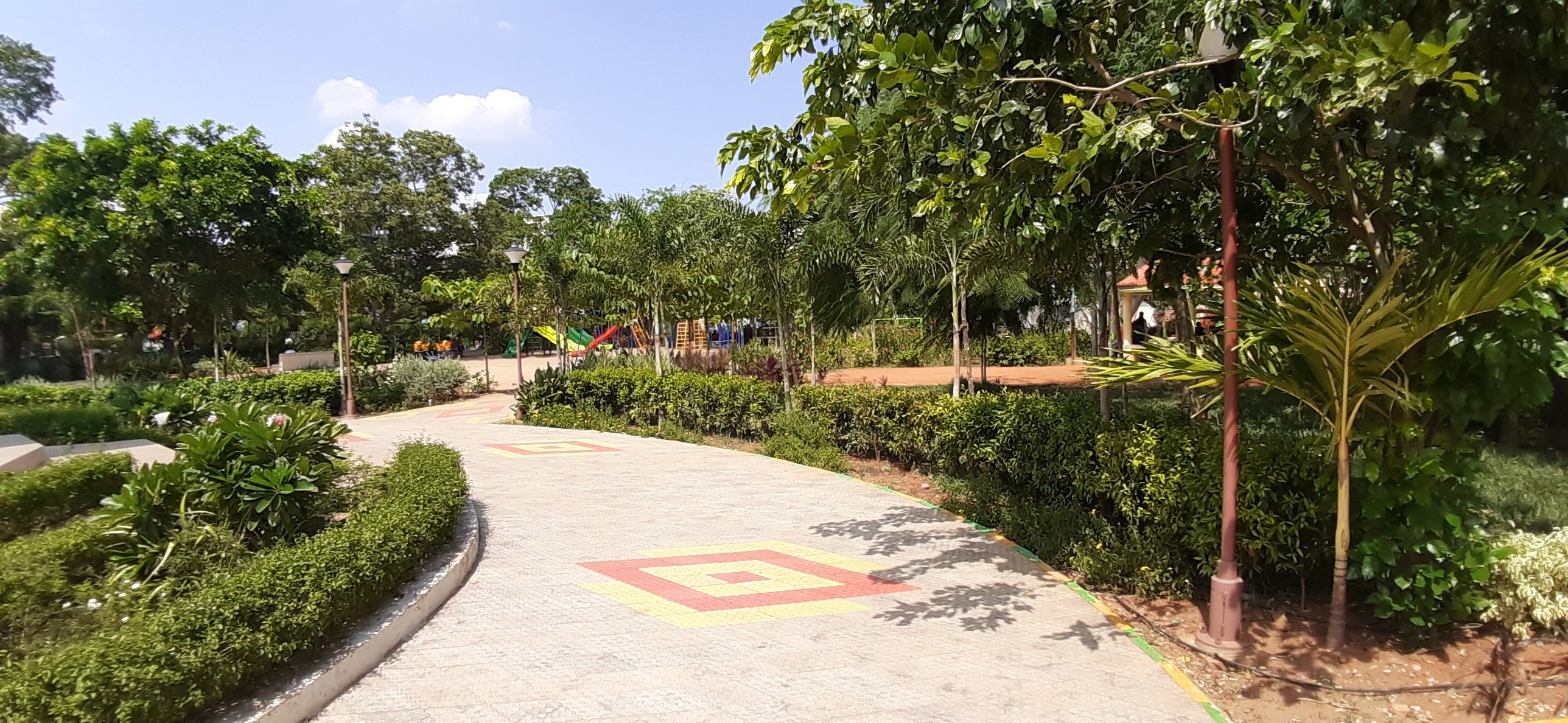 VGC Landscape Project 135