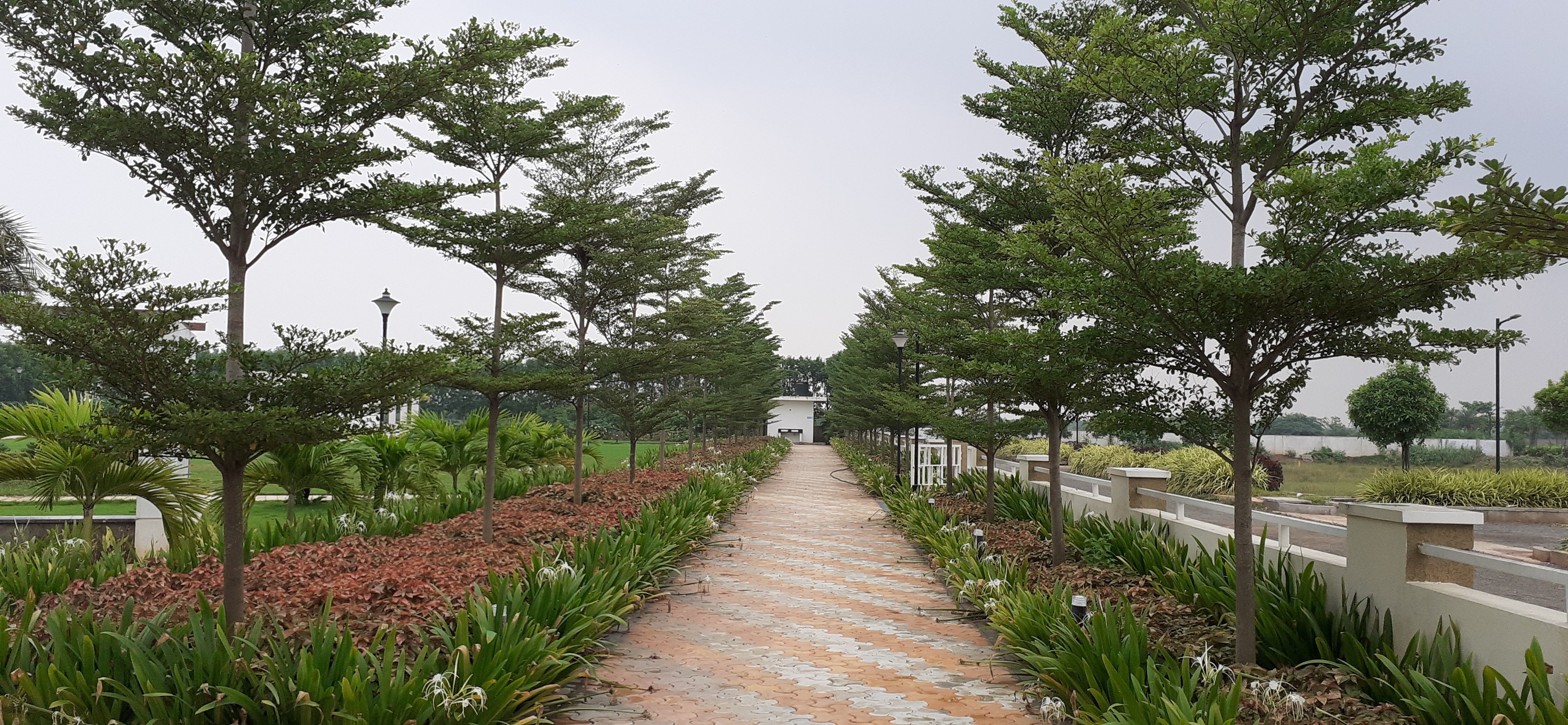 VGC Landscape Project 137