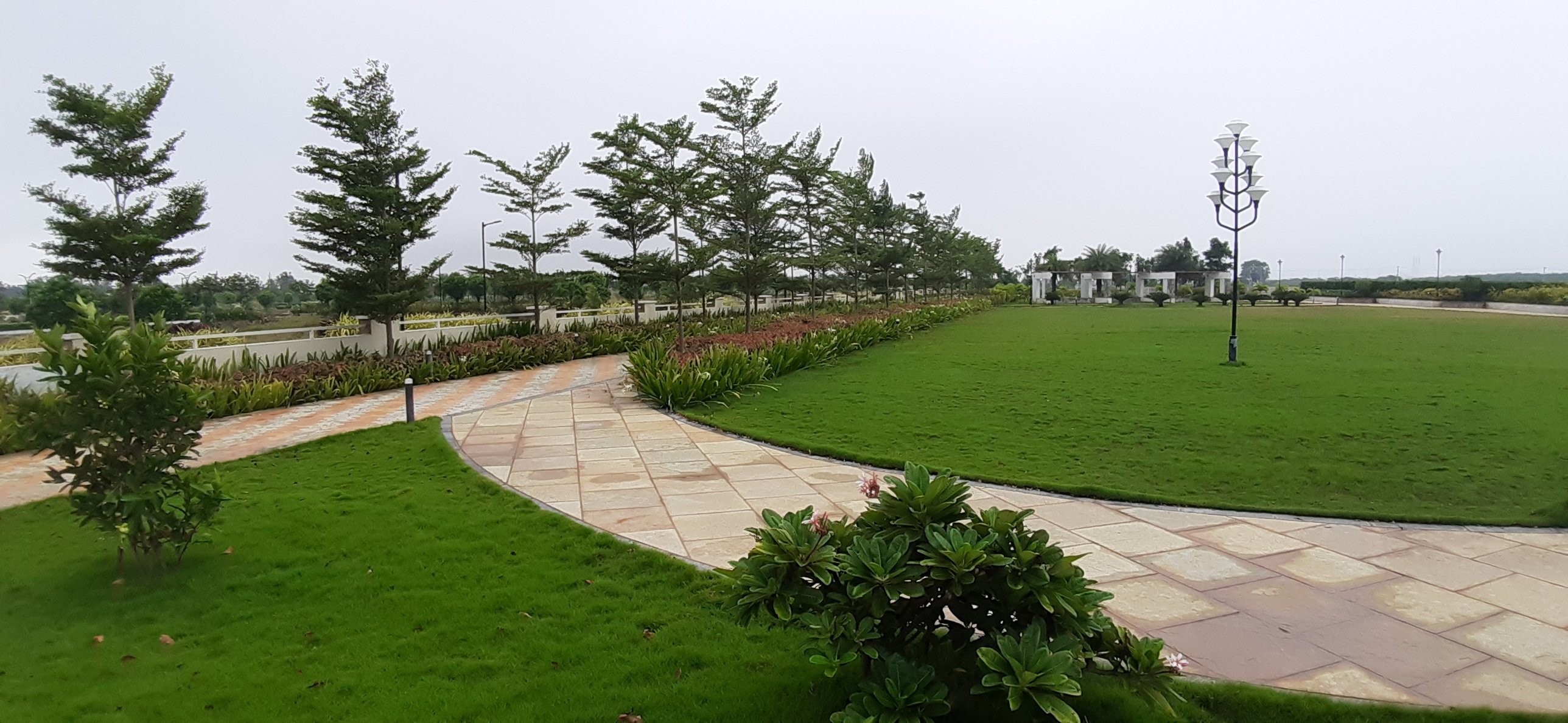 VGC Landscape Project 138