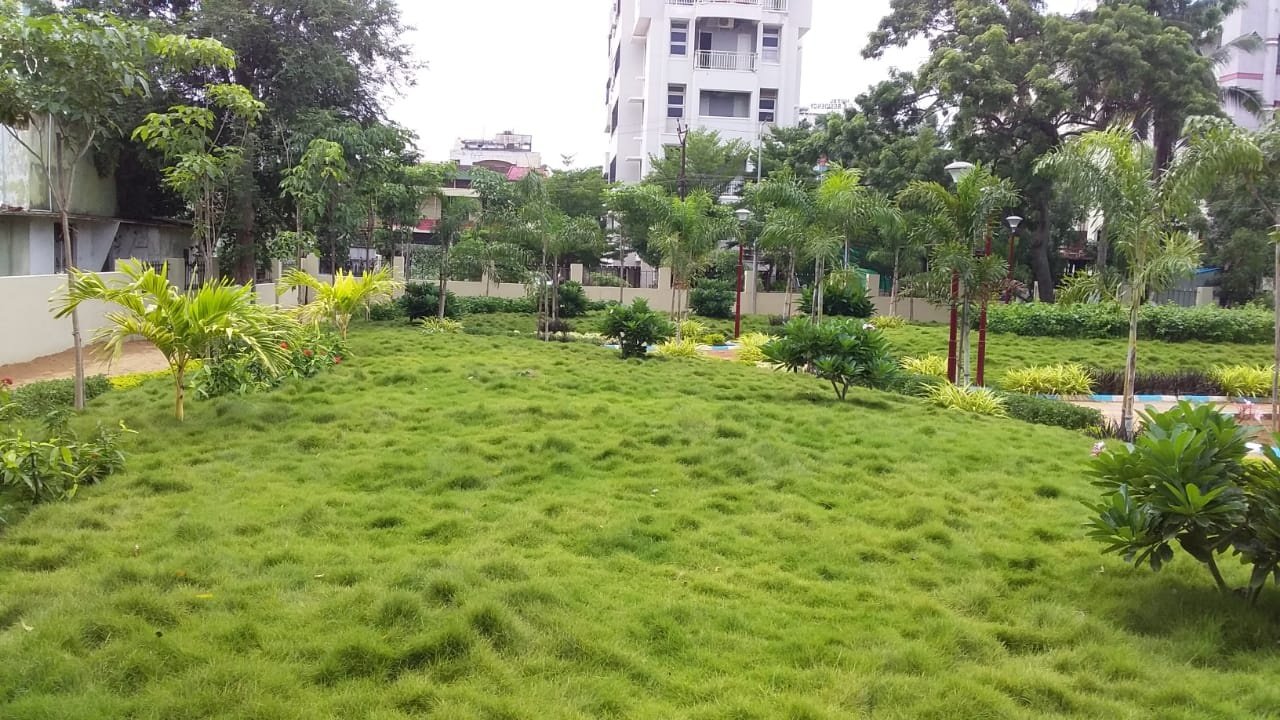 VGC Landscape Project 145