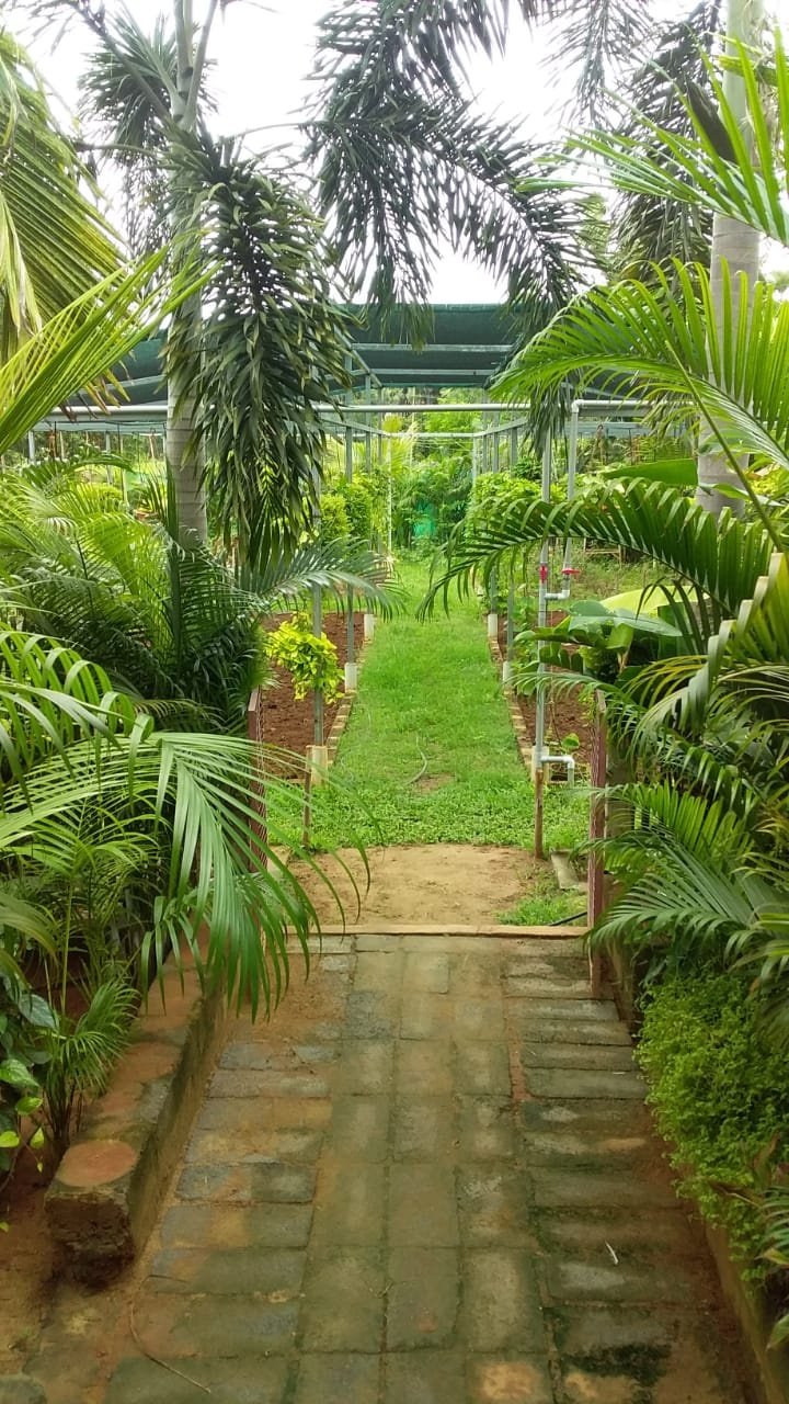 VGC Landscape Project 148