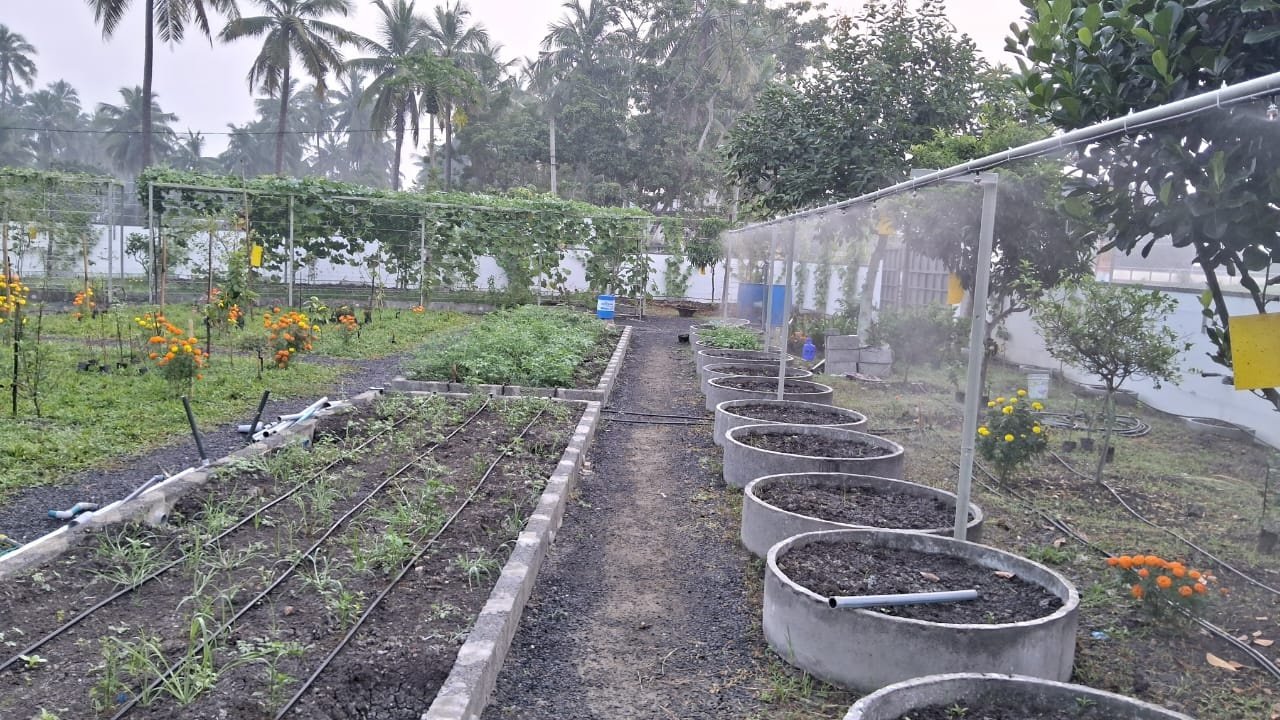 VGC Landscape Project 161