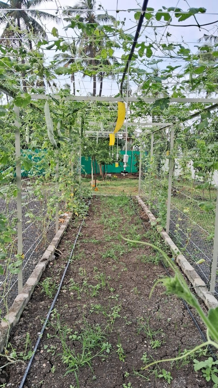 VGC Landscape Project 163