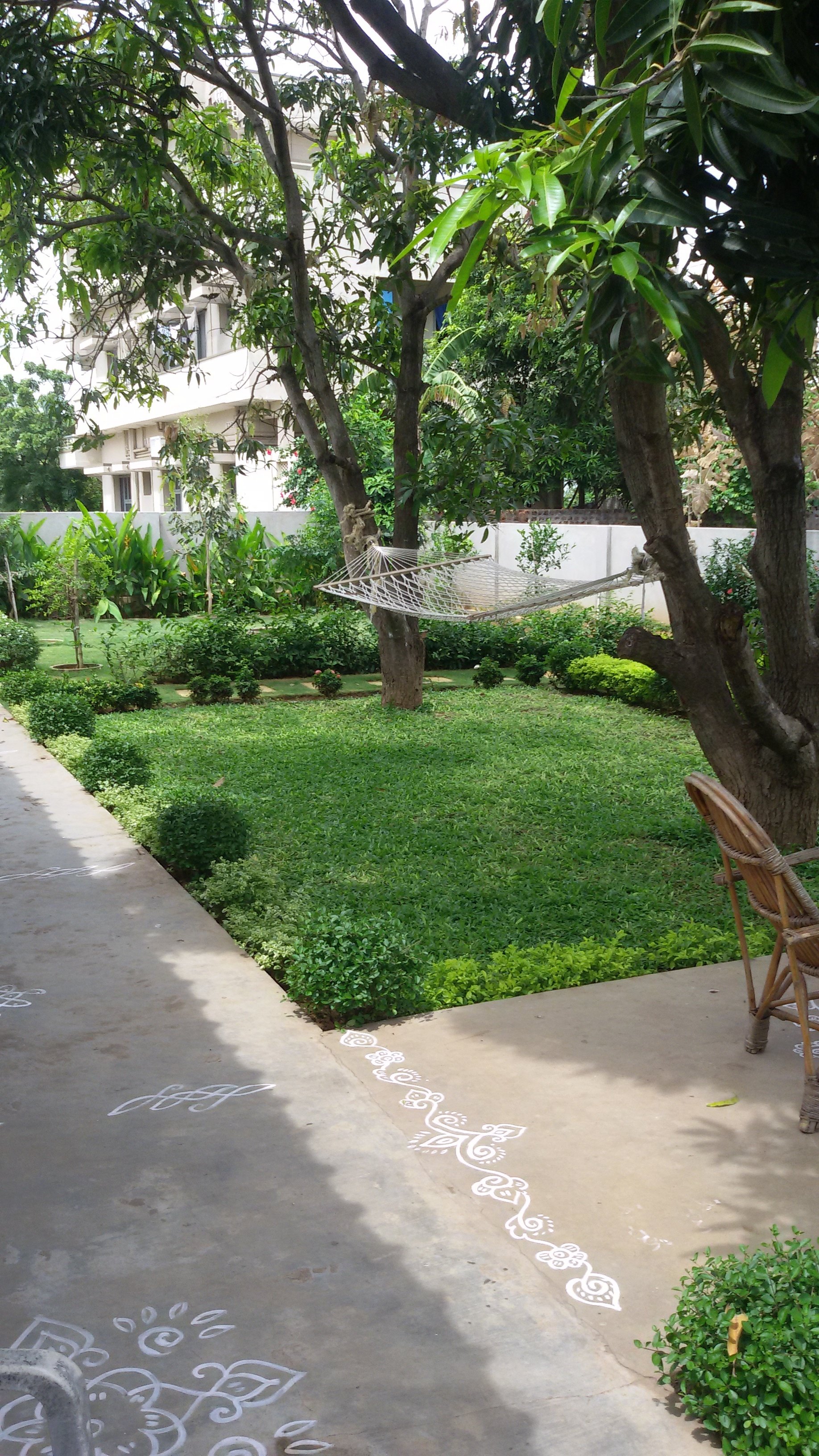 VGC Landscape Project 168